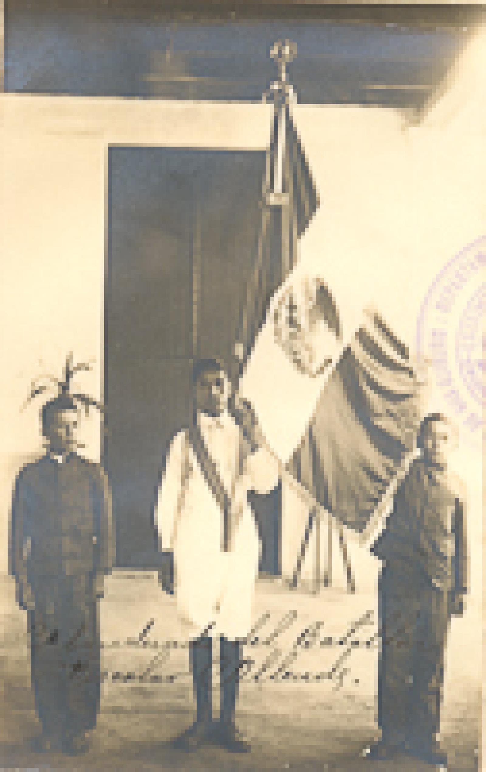 Abanderado del Batallón Escolar Allende.