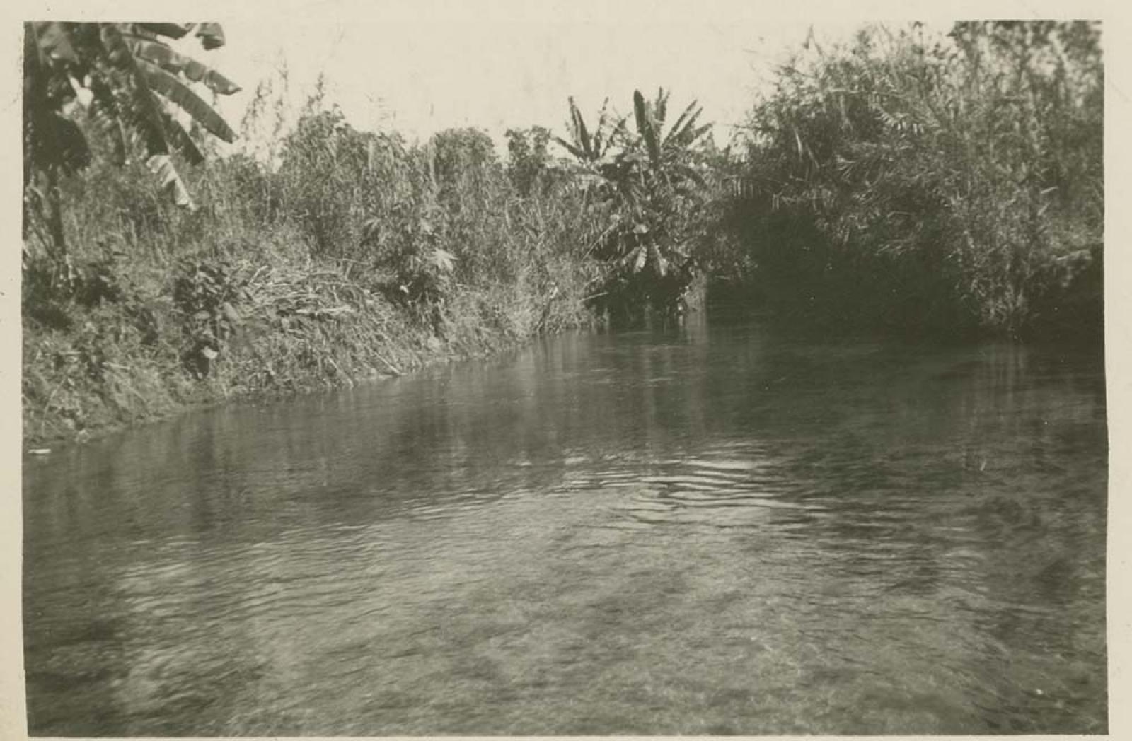 “Acequia de San José del Cabo, Baja California Sur.”