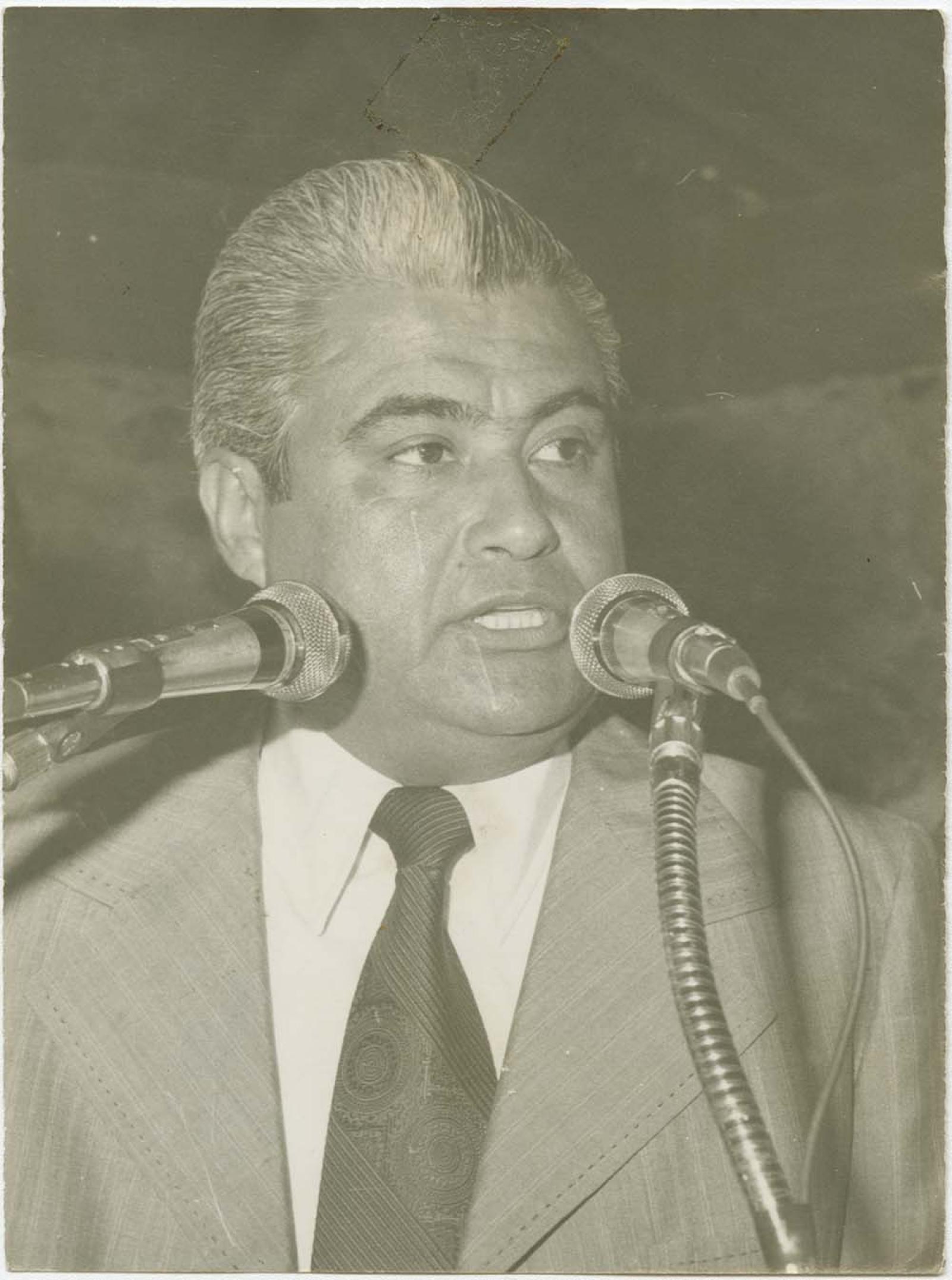 Alfonso González Ortega, retrato.