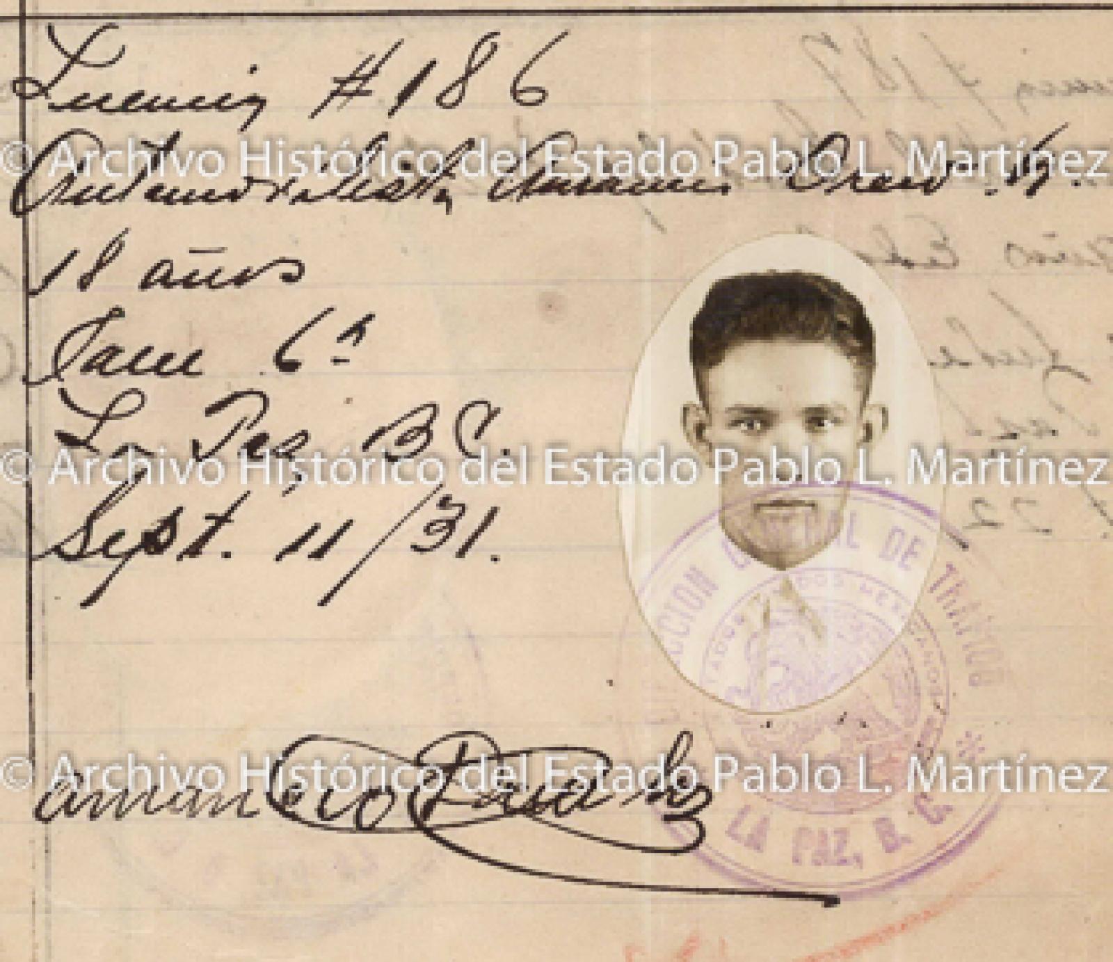 "Amancio Drew H.", retrato.