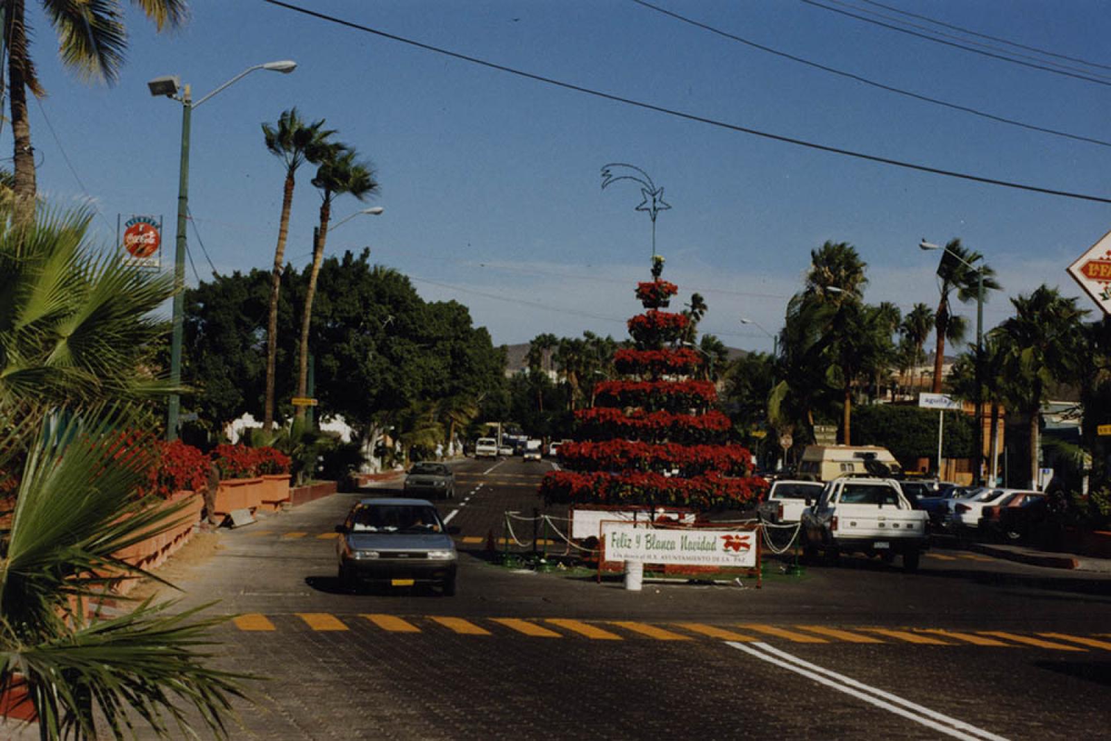 Árbol de navidad elaborado con flores de nochebuena.