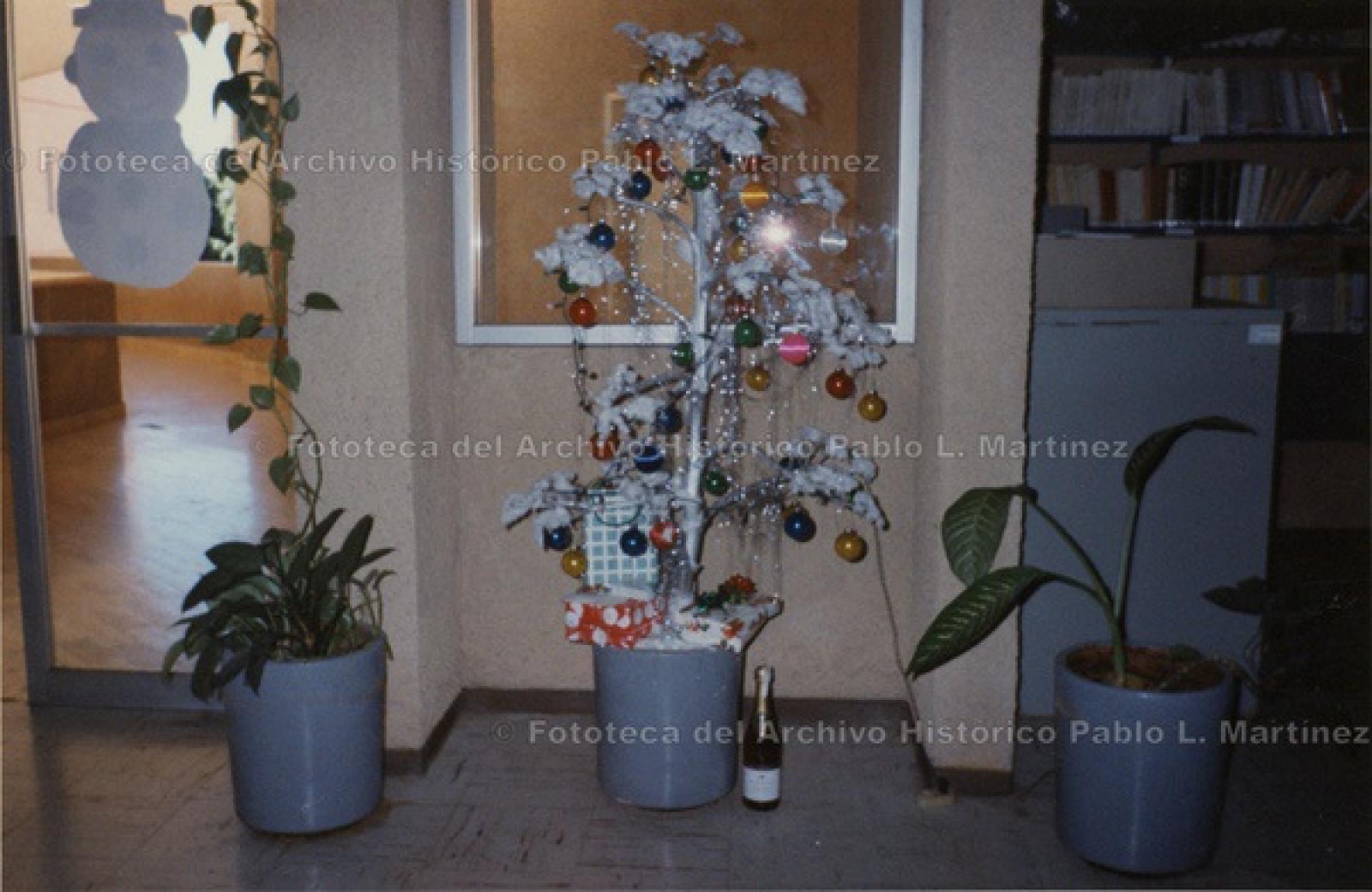 “Arreglo navideño en el archivo histórico Pablo L. Martínez”.