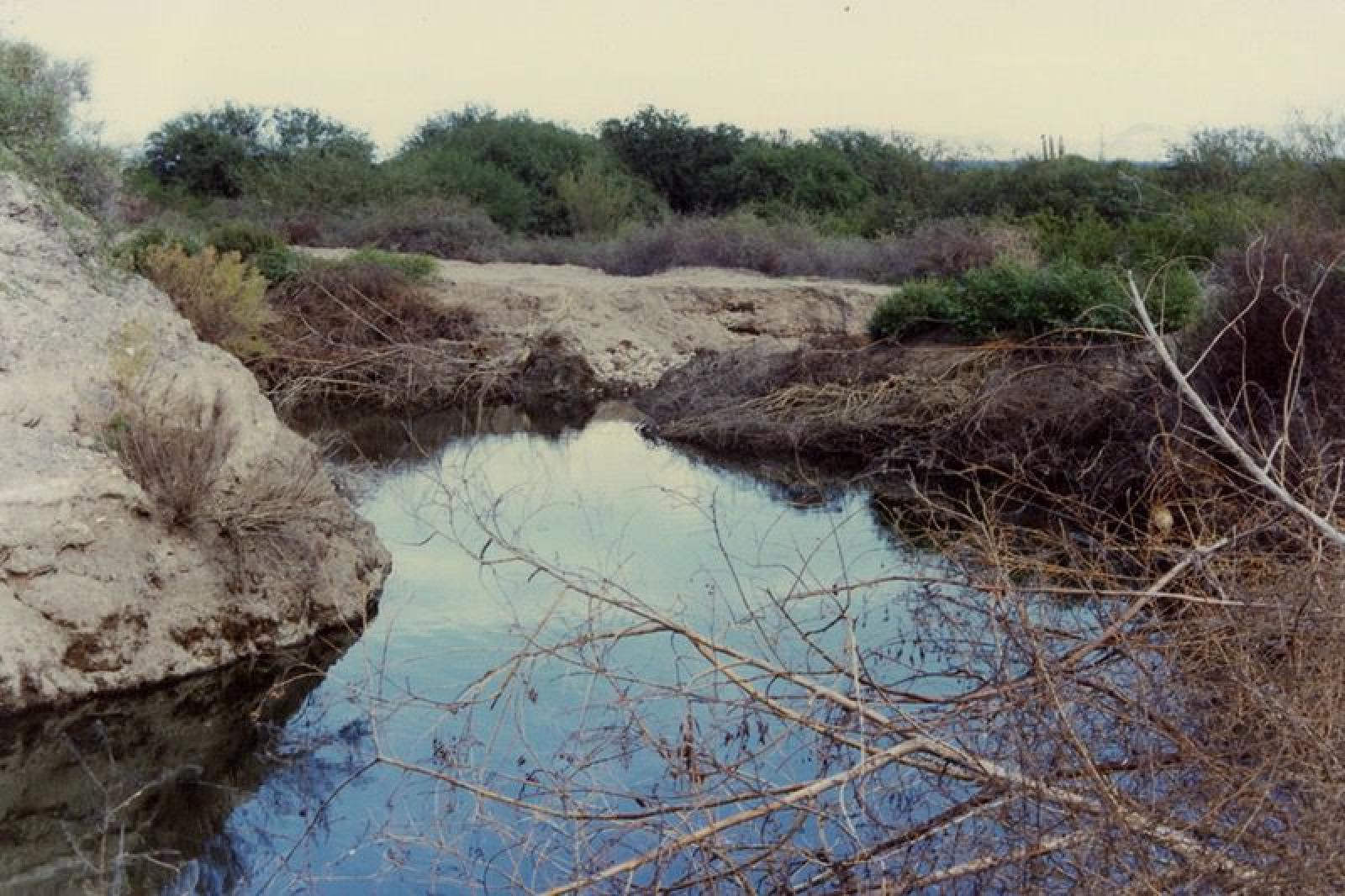 Arroyo.
