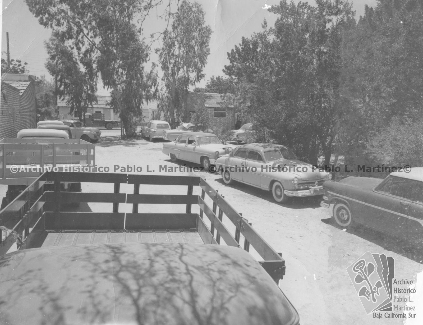 Automóviles y camiones entre árboles