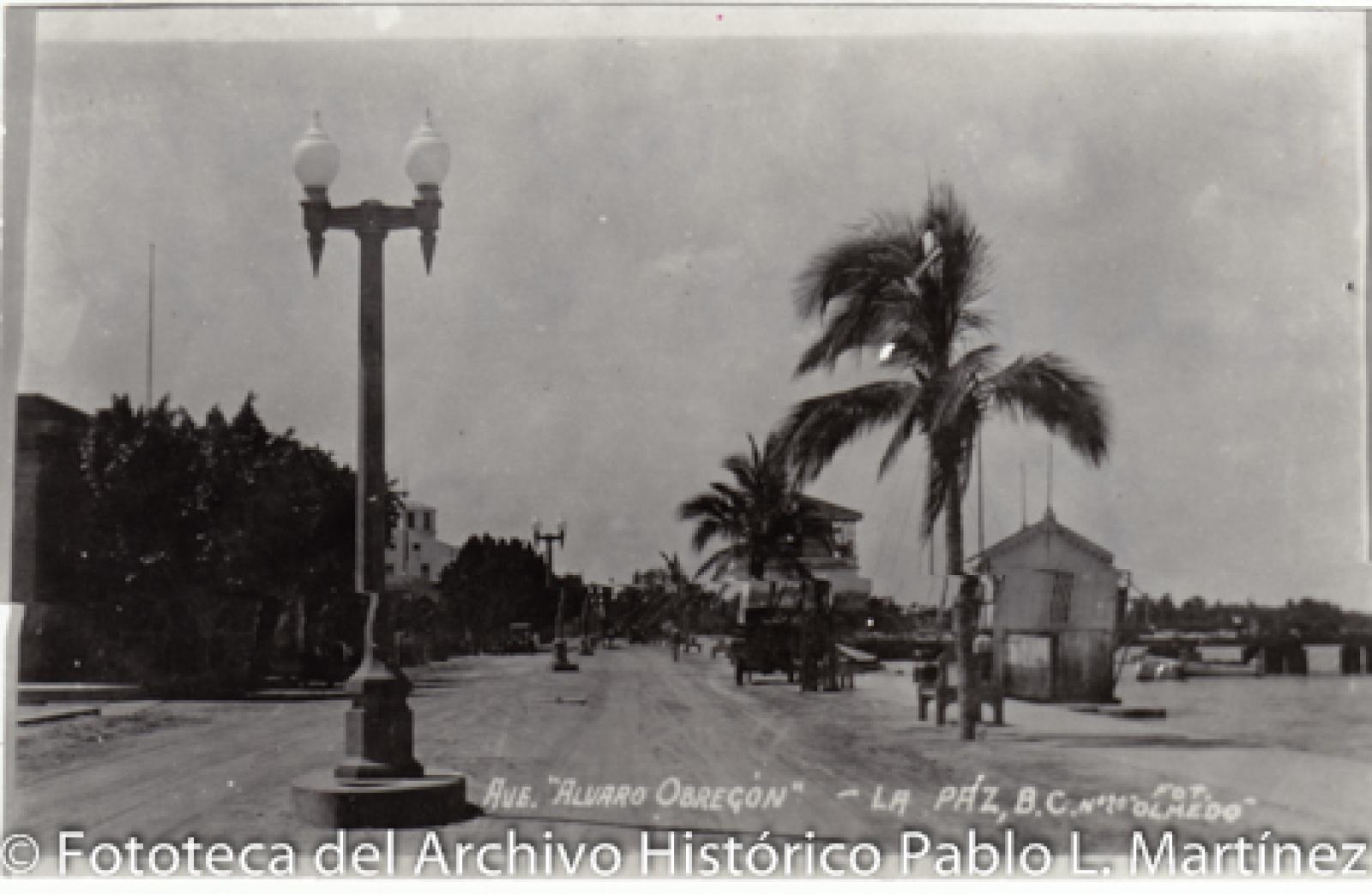 “Avenida Álvaro Obregón, La Paz”.