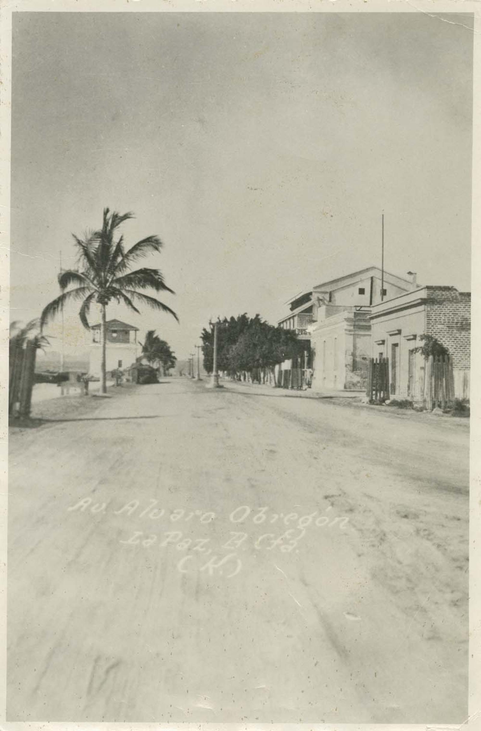 “Avenida Álvaro Obregón”.