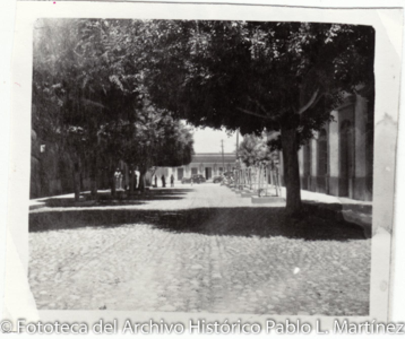 Avenida del centro de La Paz, B. C. S.