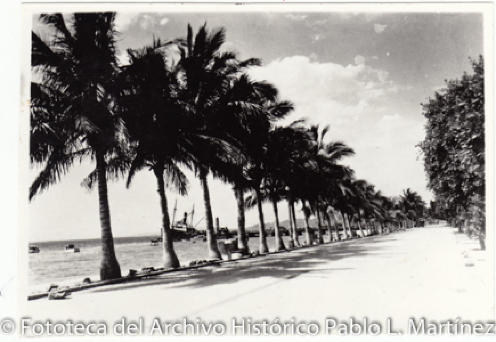 Avenida del malecón de La Paz.