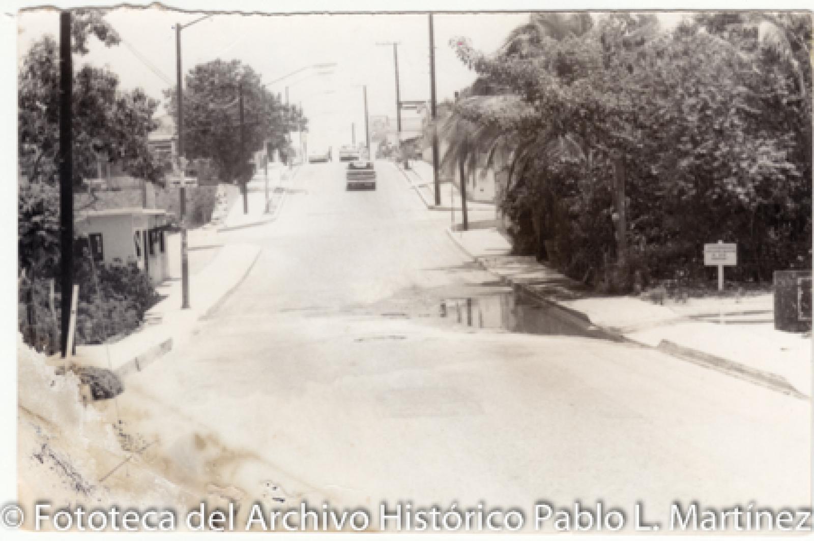 Avenida en San José del Cabo.
