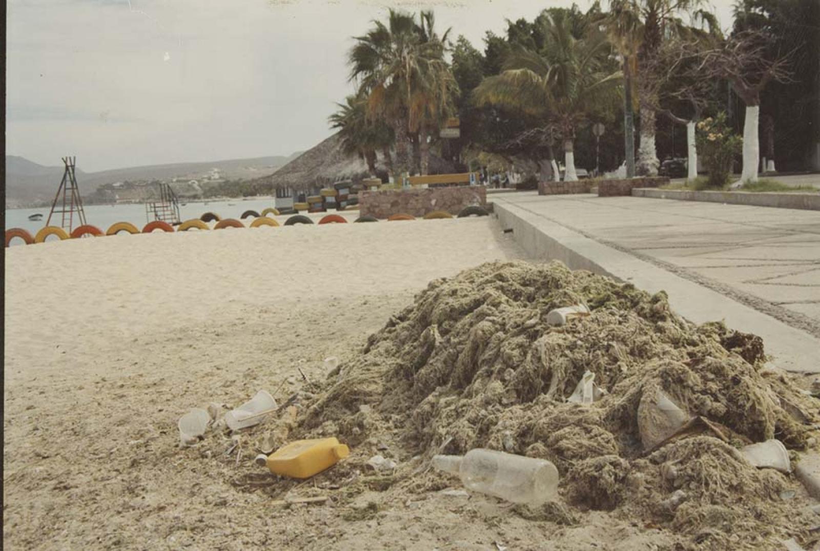 “Basurero”, en malecón de La Paz, Baja California Sur.