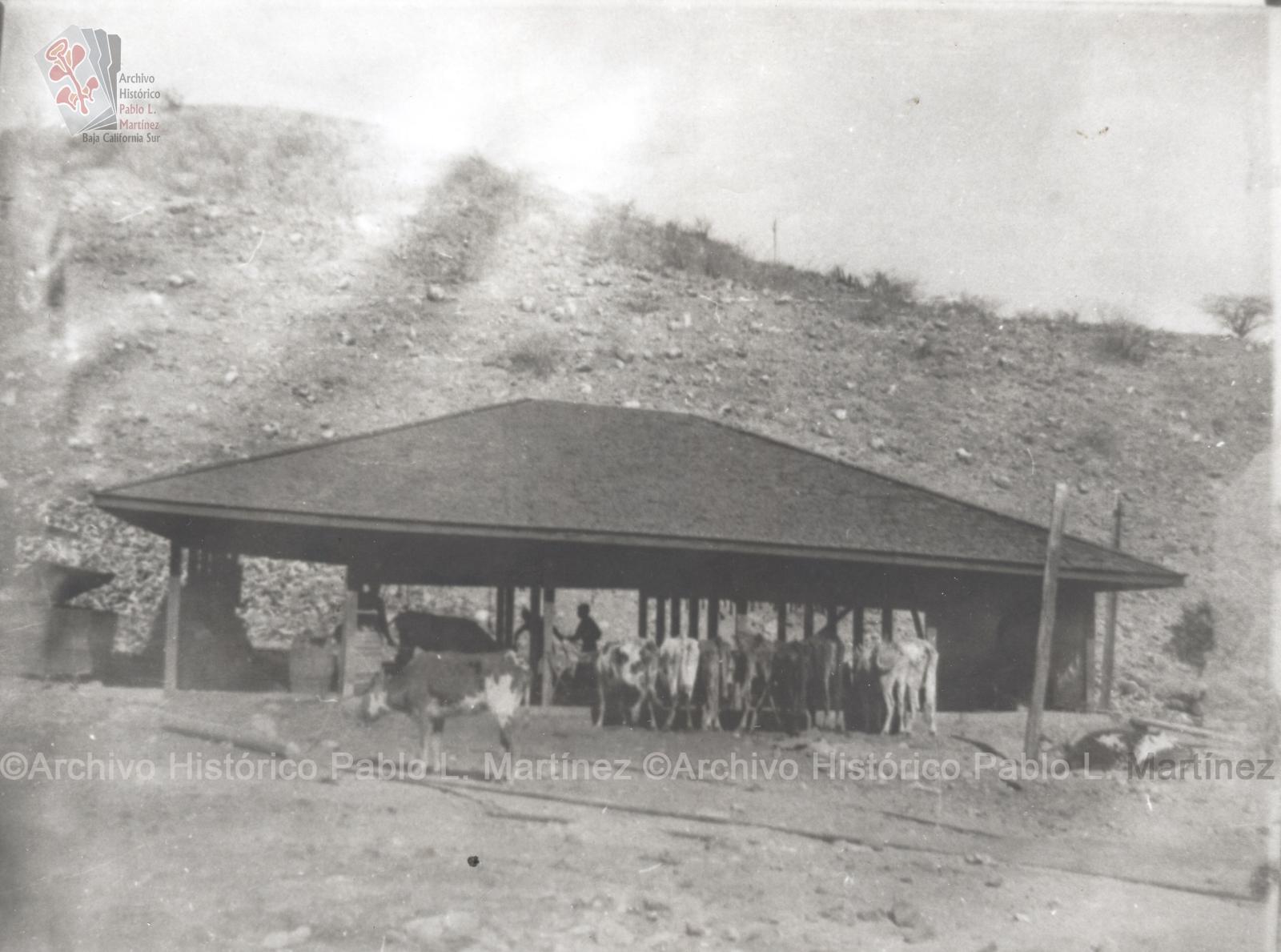 Bebederos para el ganado en Santa Rosalía, Baja California.