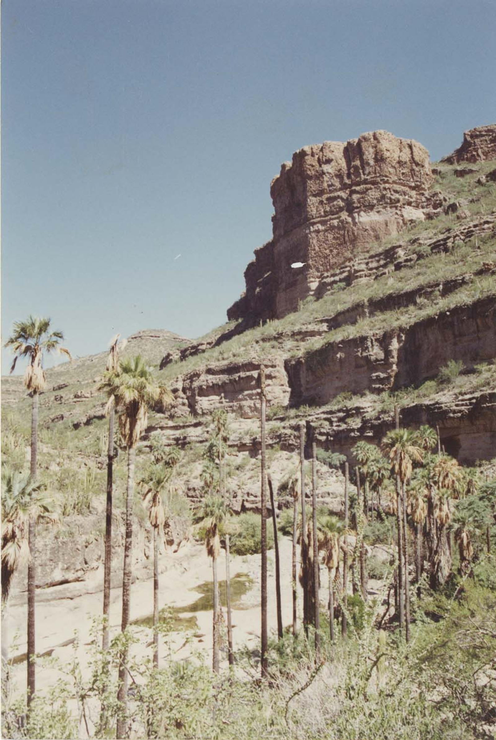 “Bella, Santa Rosalía”, paisaje rural.