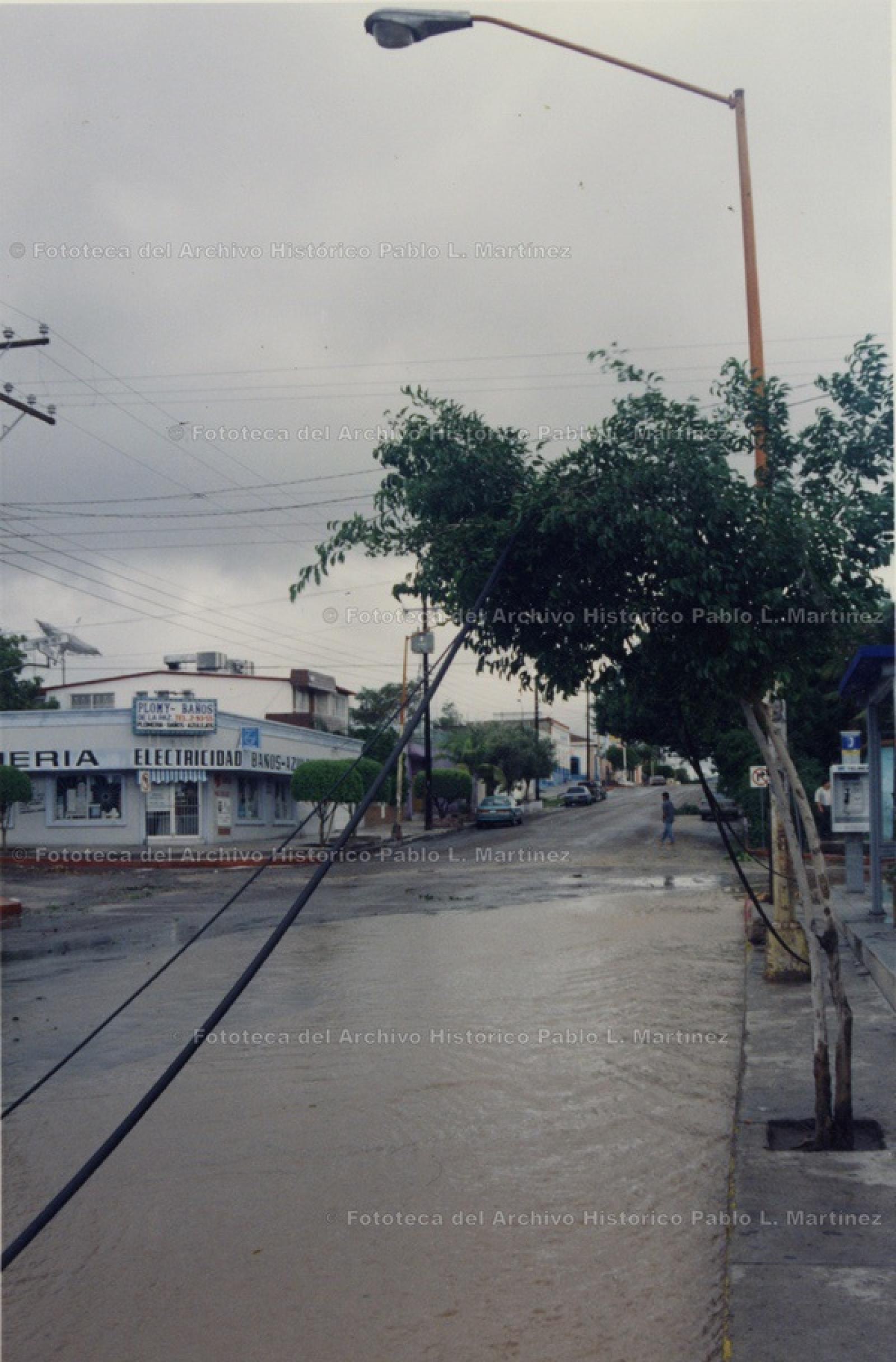 Cable caído sobre árbol en calle inundada.