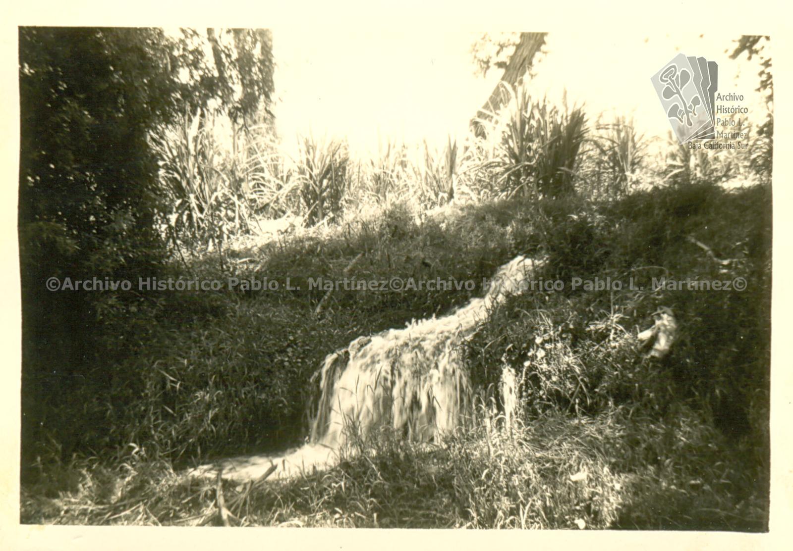 Caída de agua de la acequia Juárez, en Todos Santos, Baja California.