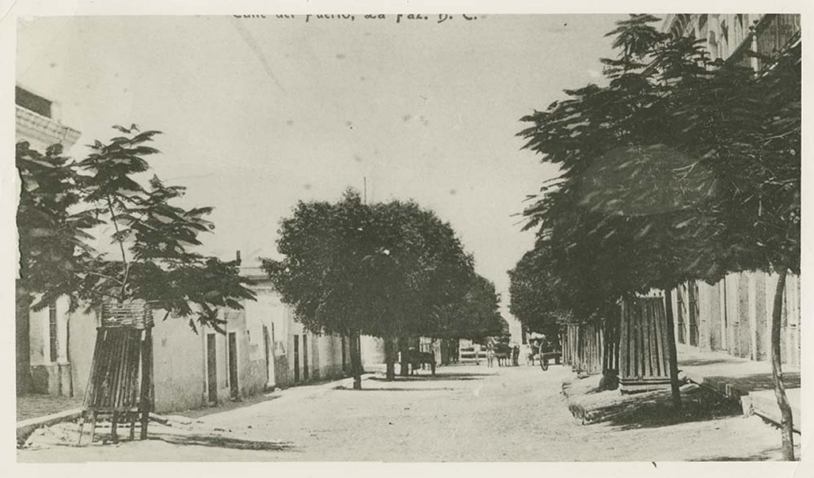 “Calle del Puerto”.