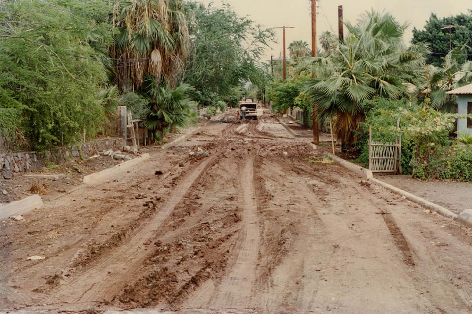 Calles de terracería en mal estado.