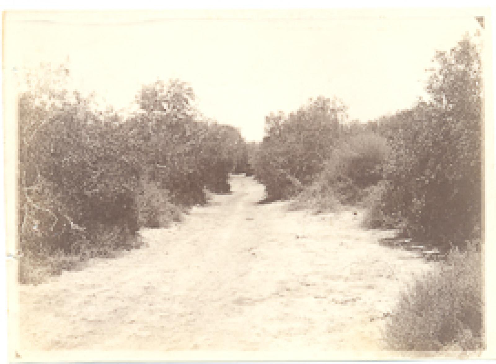 Camino hacia el rancho El Zacatal en el predio Las Garzas.
