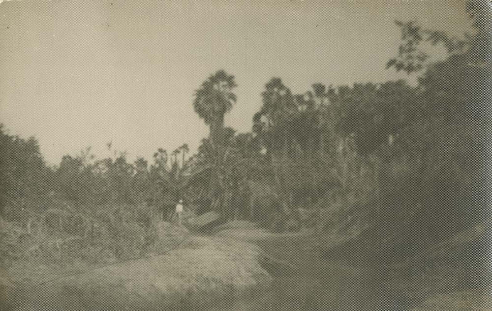 “Canal de acequias en San José del Cabo”.