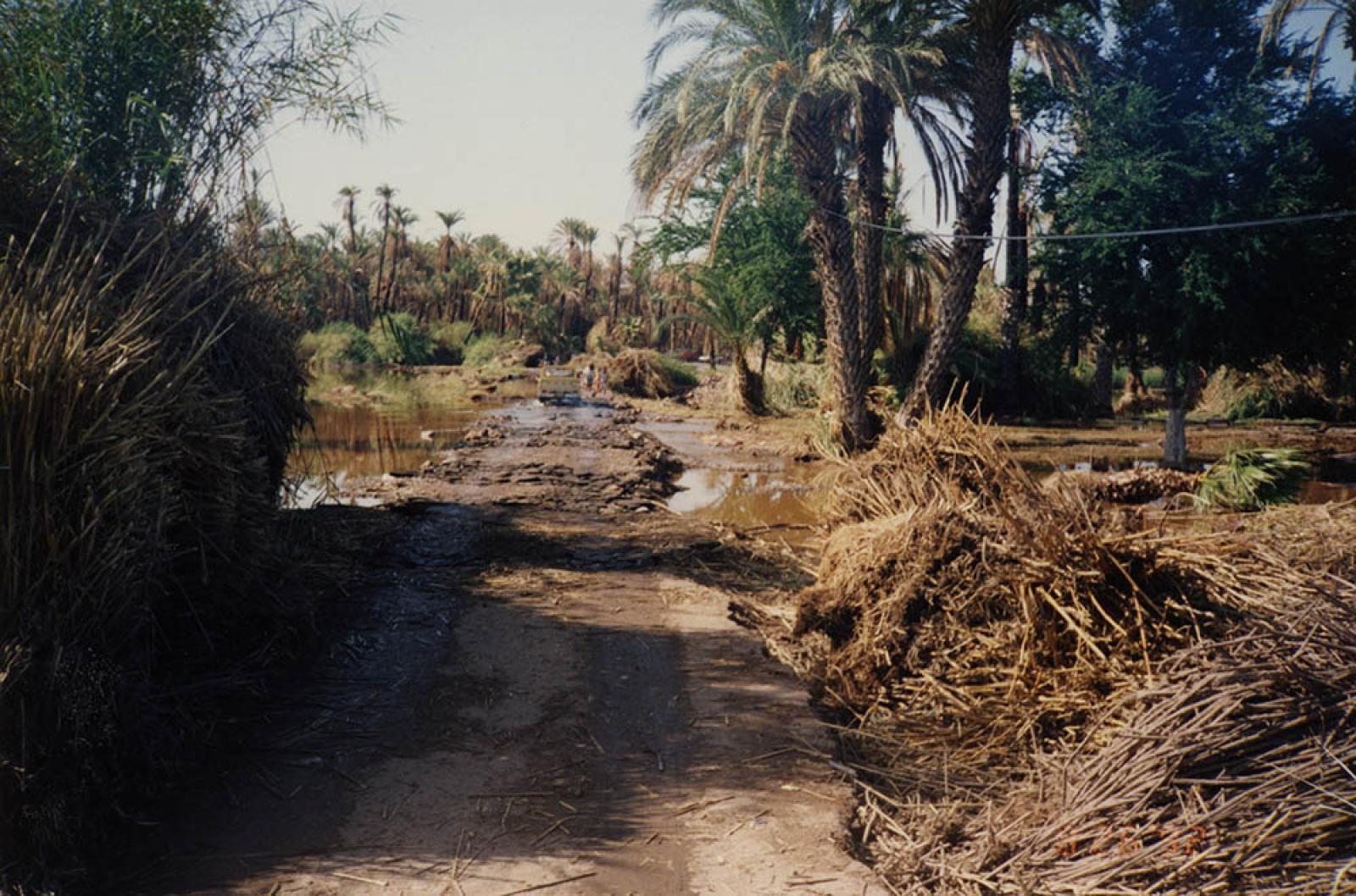 Carreteras destruidas en el área de Santa Rosalía – San Ignacio, B.C.S., huracán “Lester”.