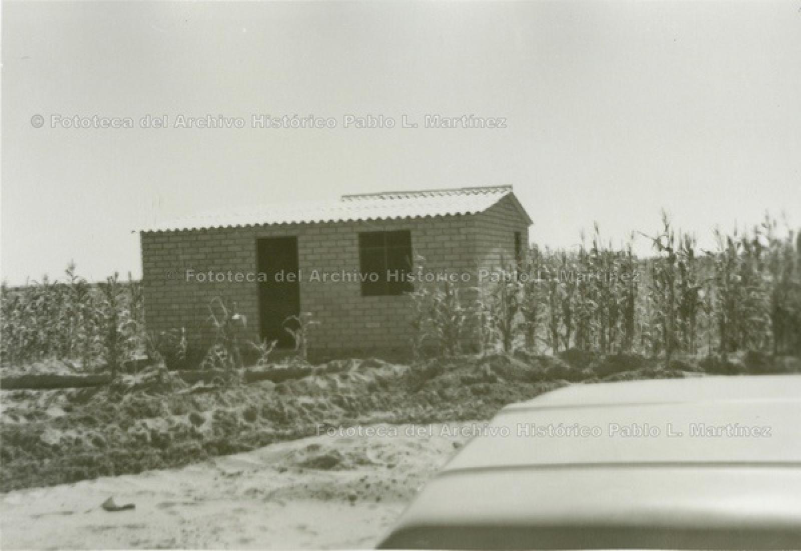 Casa rodeada por cultivo de maíz.