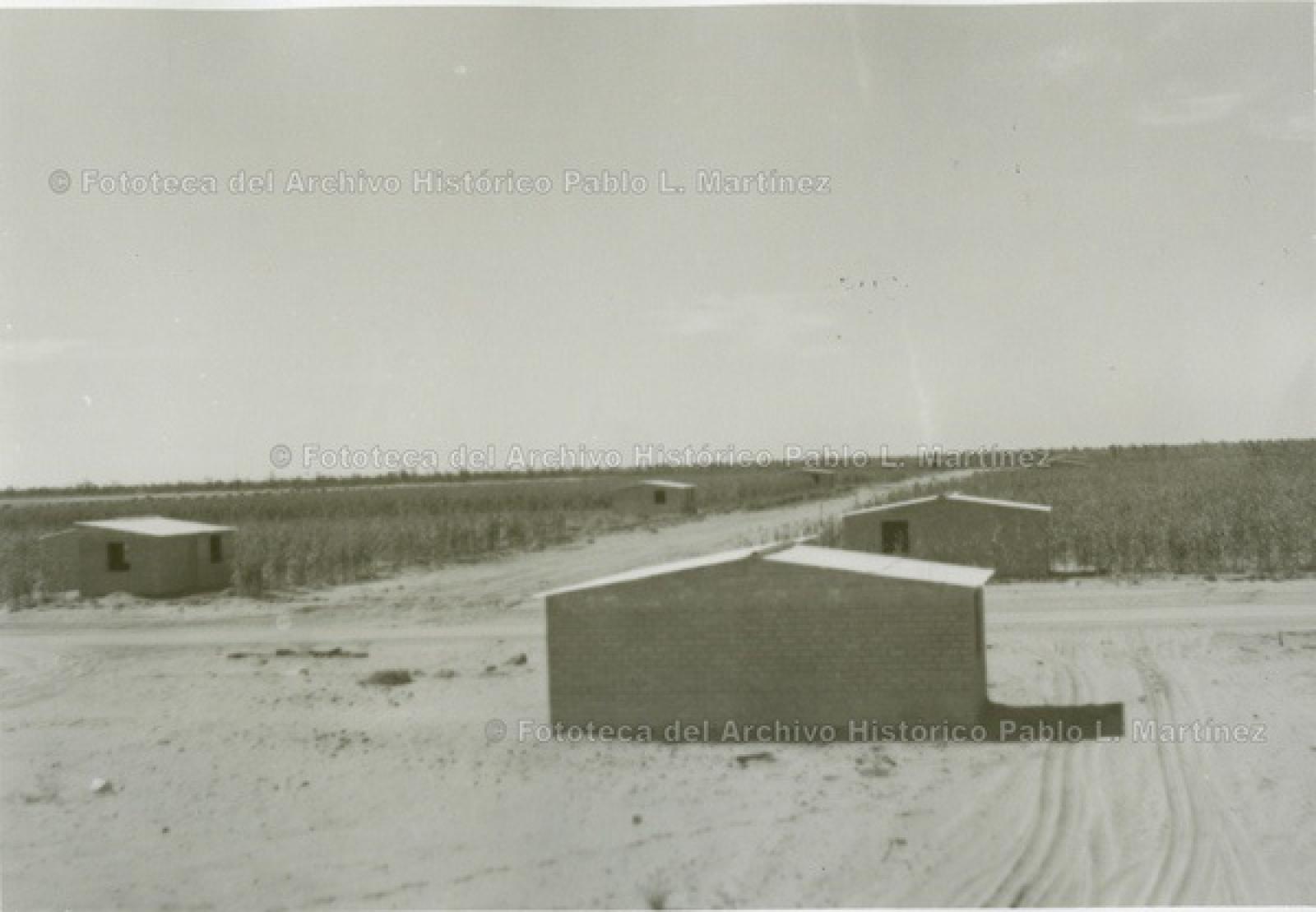Casas en zona de cultivo de maíz con caminos de terracería.