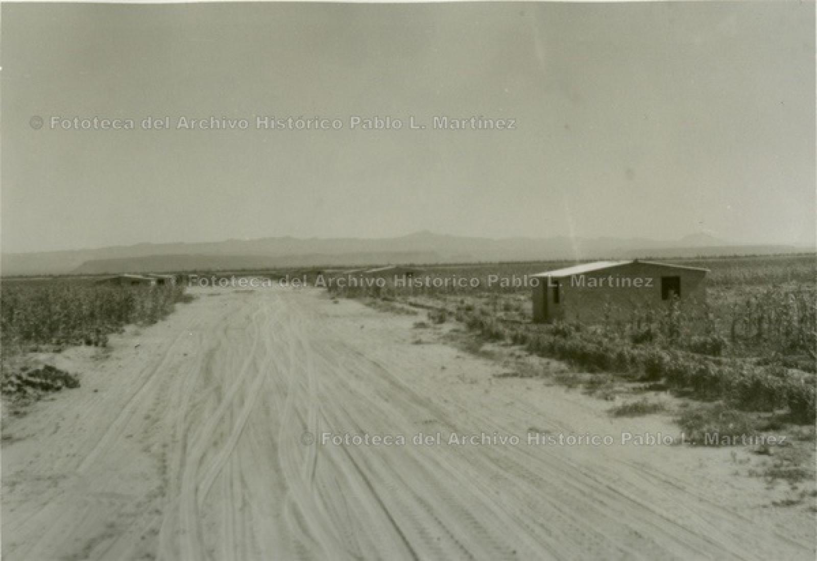 “Casas terminadas” a la orilla de camino de terracería, entre maizal.