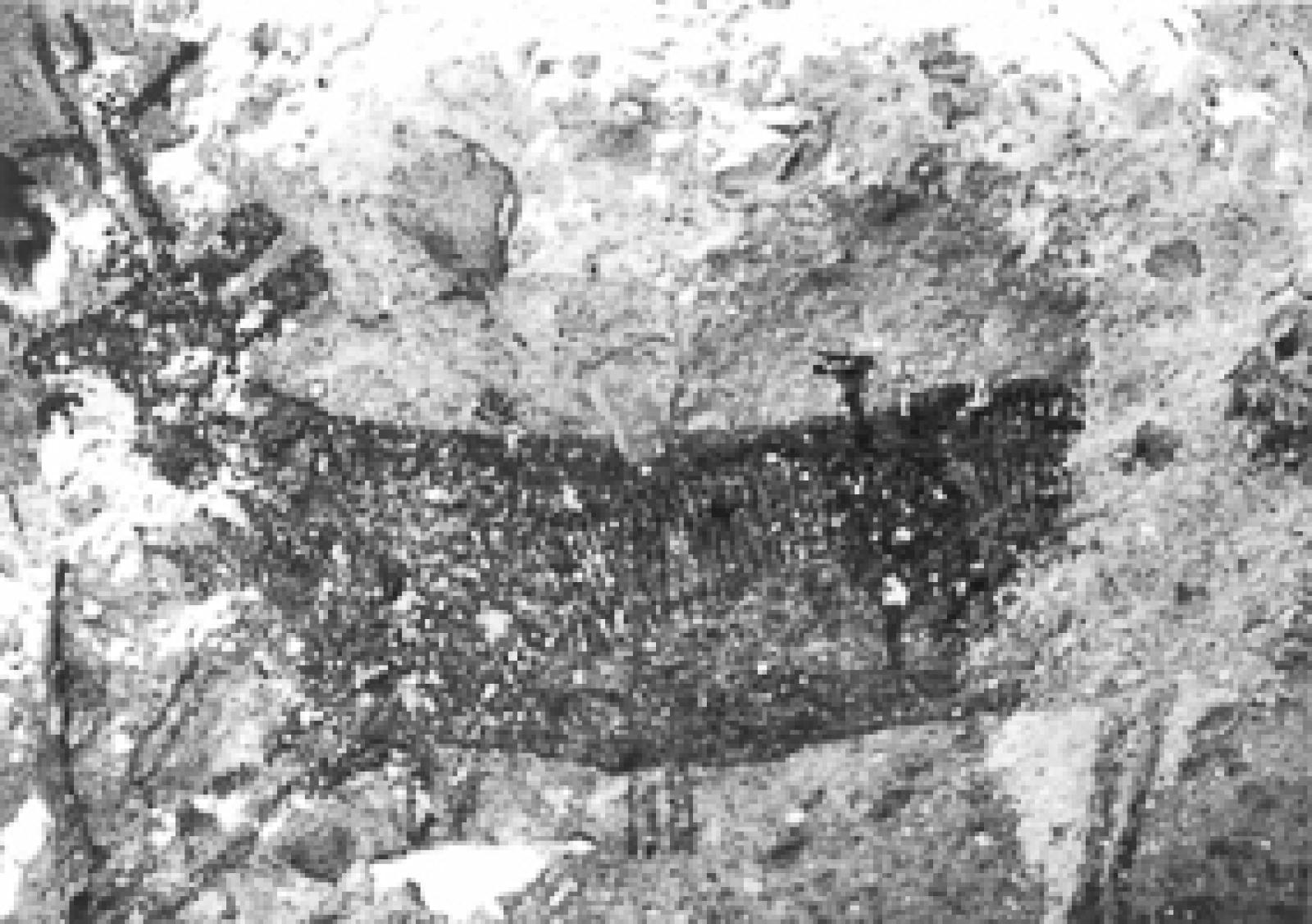 Detalle de pintura rupestre en la Cueva Pintada, en la Sierra de San Francisco