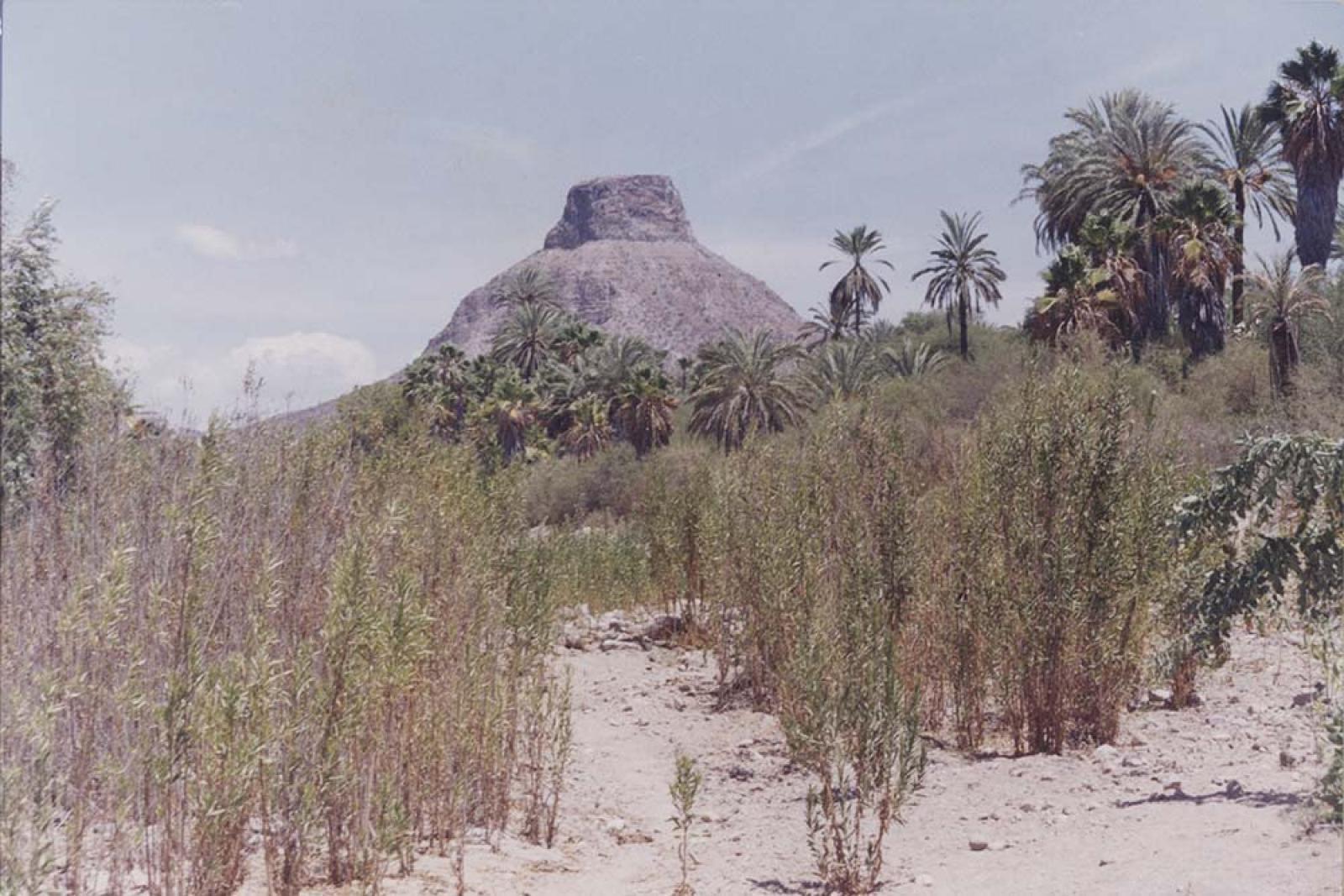 “El arroyo de La Purísima, seco" al fondo el cerro de El Pilón. Comondú, Baja California.