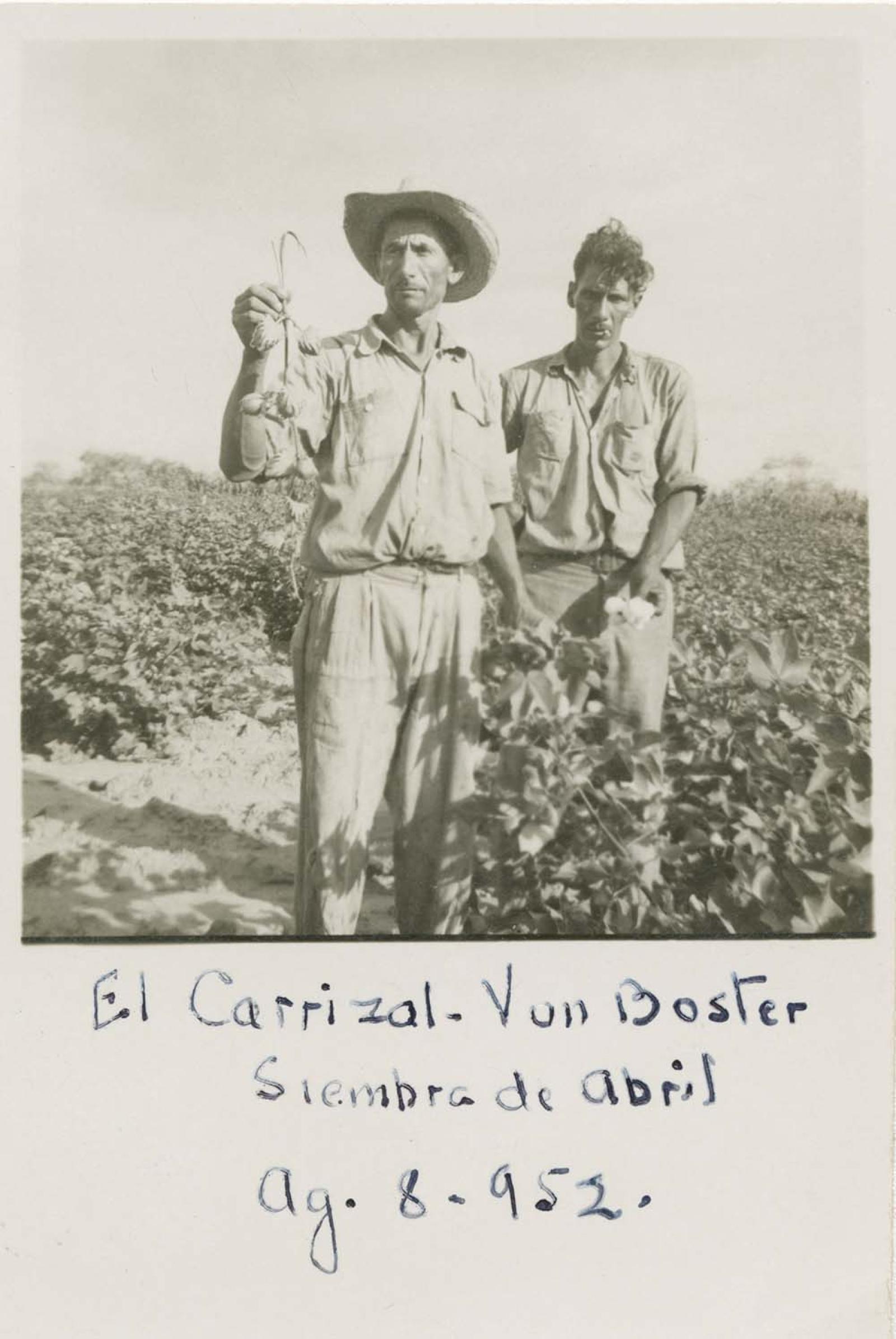 “El Carrizal”