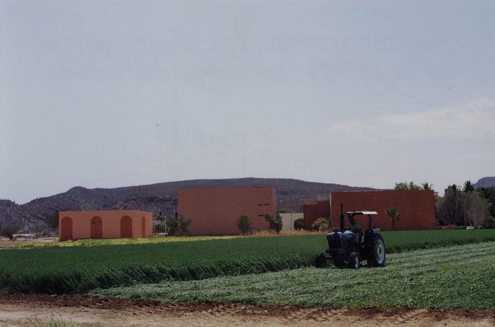 “En vacaciones, los campos agrícolas de la Universidad Autónoma de Baja California Sur se siguen cultivando”.