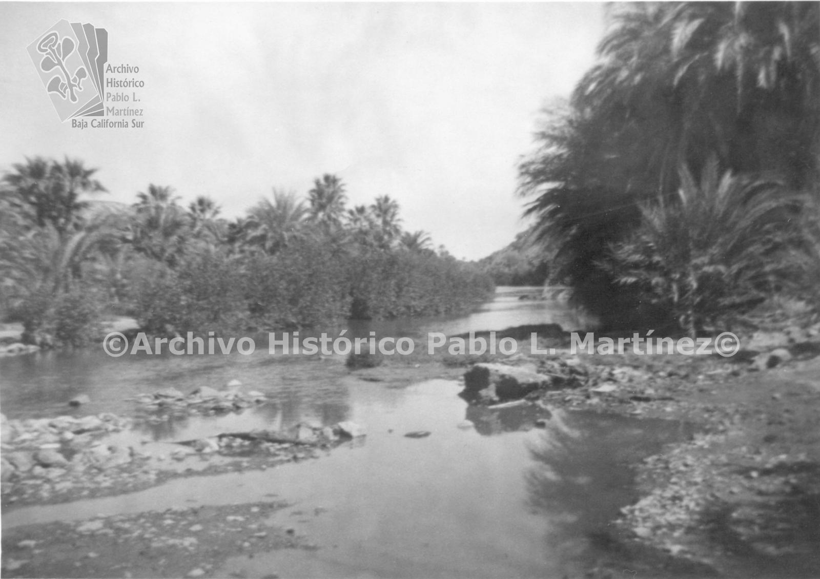 Estero de agua dulce en el pueblo de Mulegé, Baja California.