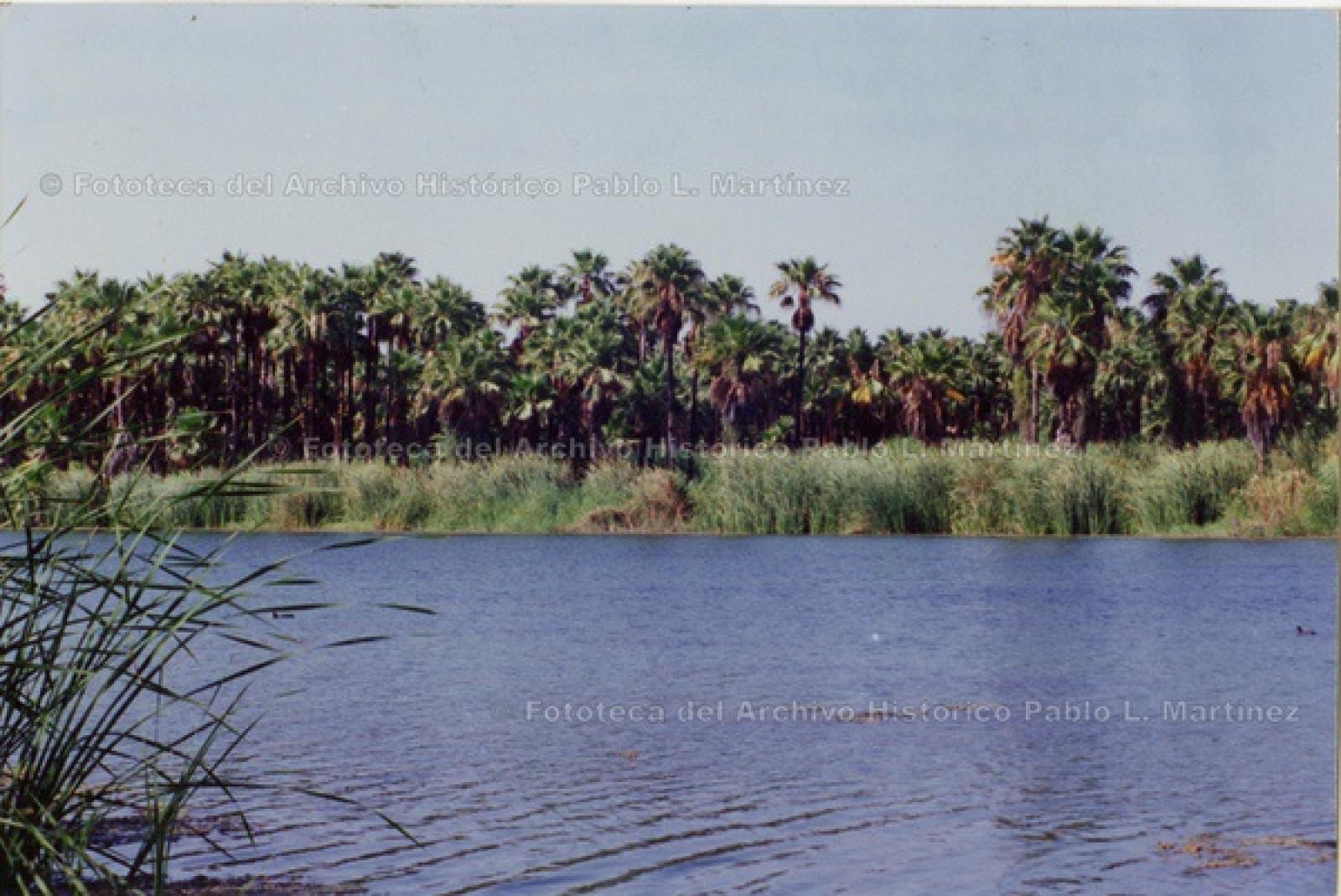 Estero de San José del Cabo, Baja California Sur.