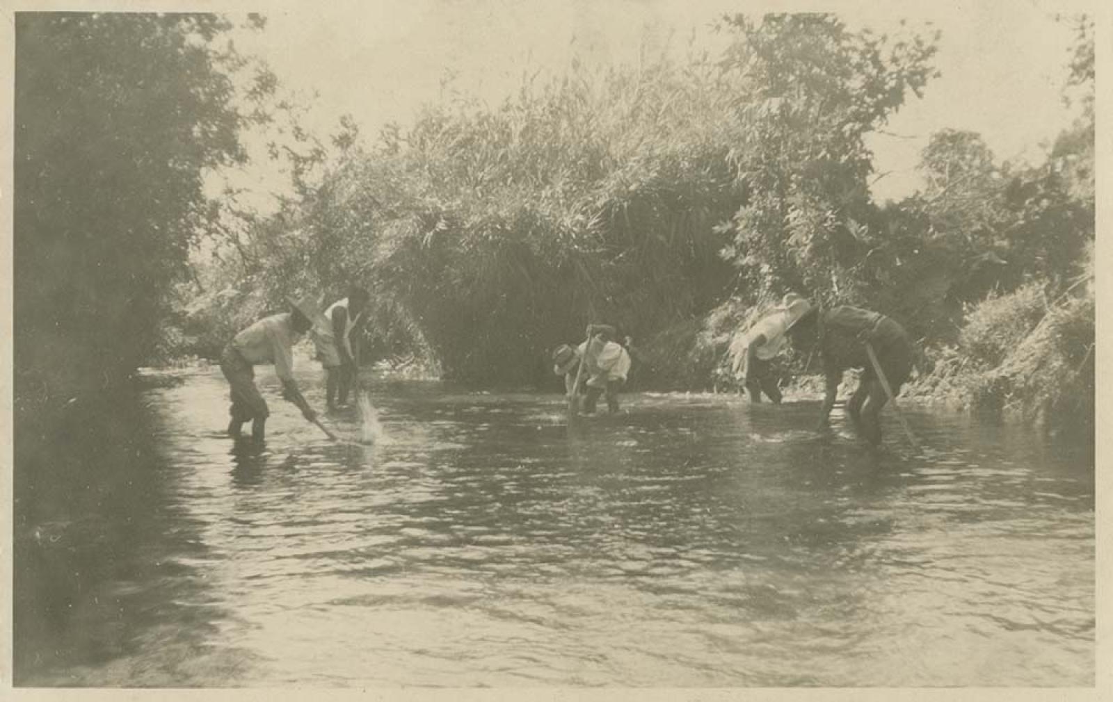 “Estero de San José del Cabo.”