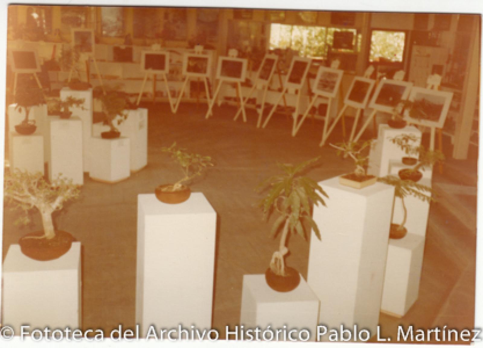 Exposición de flora regional, artesanías y pinturas en museo regional de artesanías