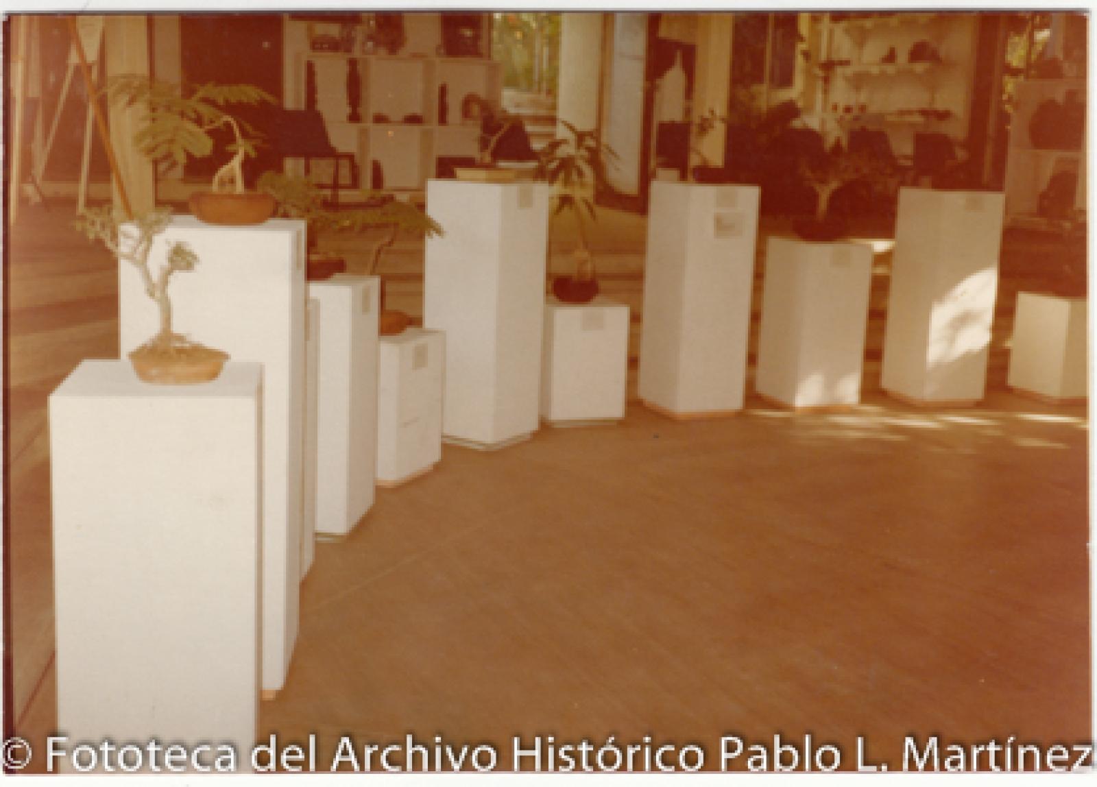 Exposición de vegetación regional en museo