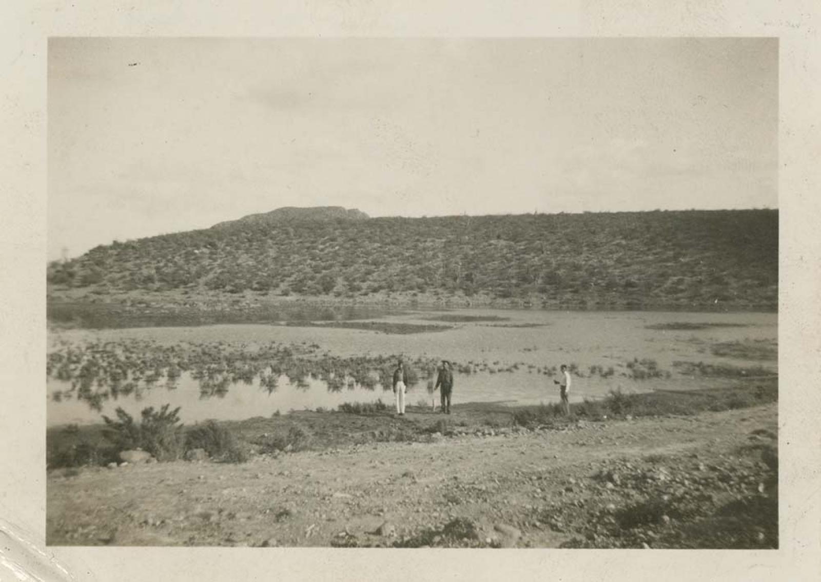 “Formación del Estero",  La Paz, Baja California.