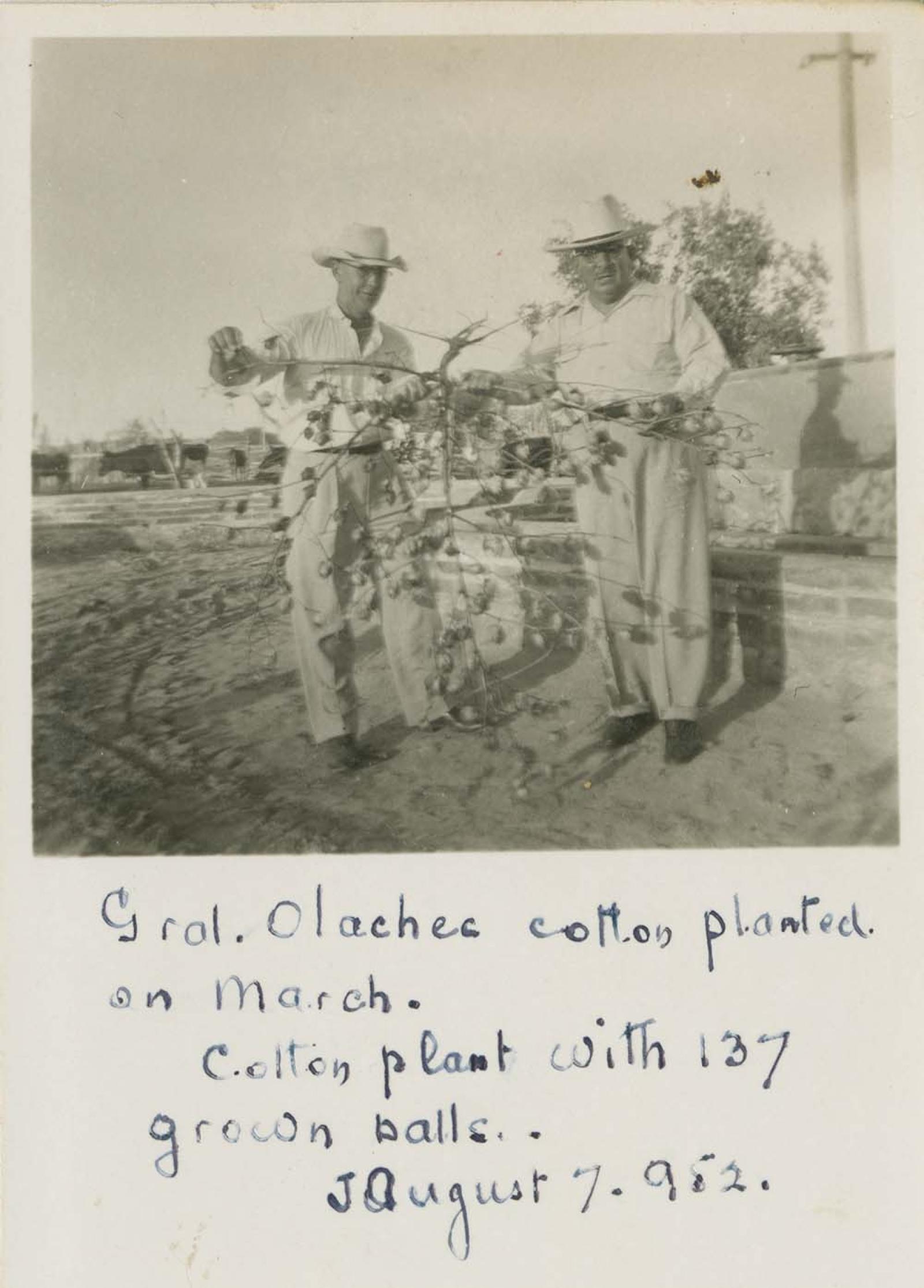 “General Agustín Olachea”