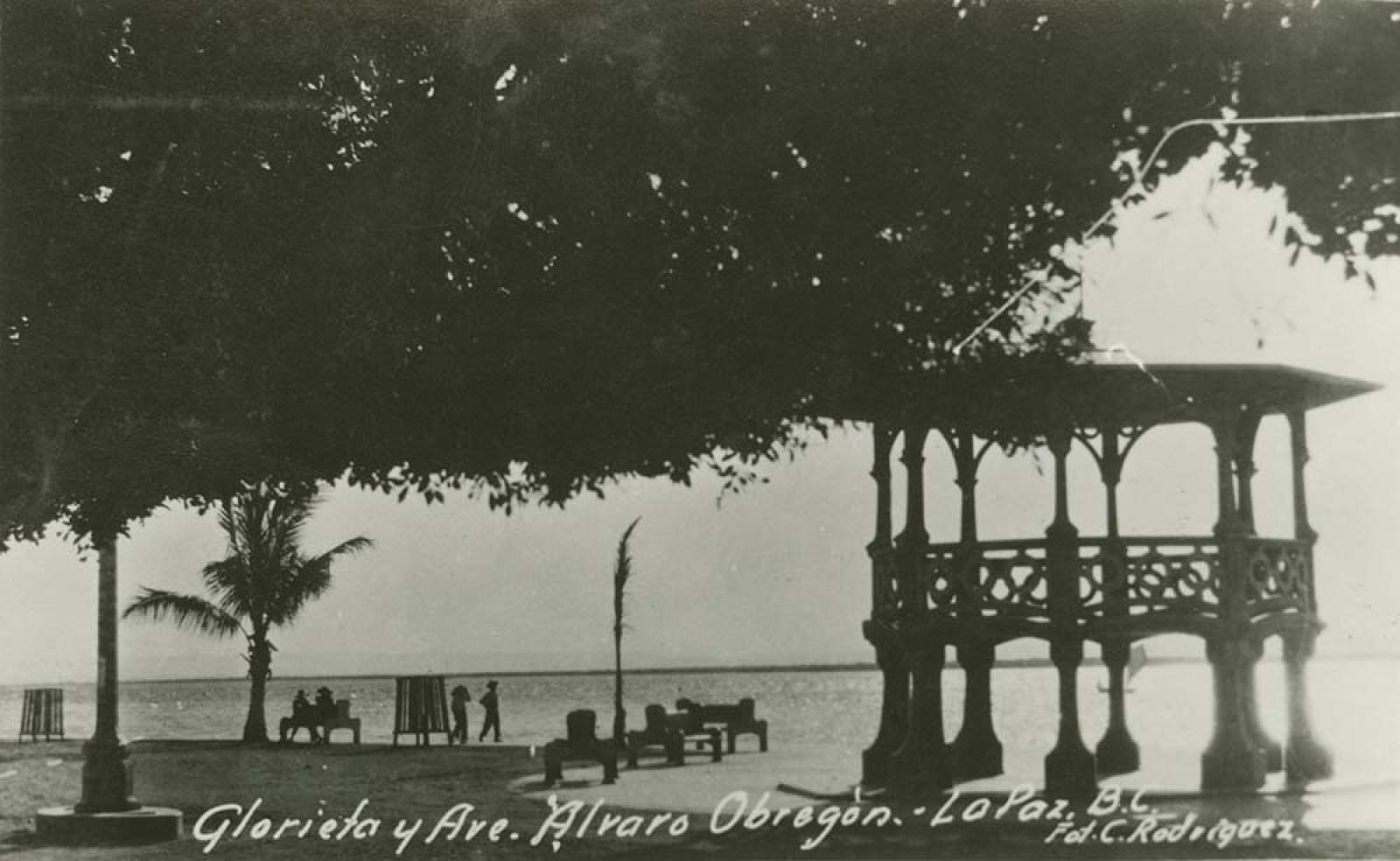 “Glorieta y avenida Álvaro Obregón.”