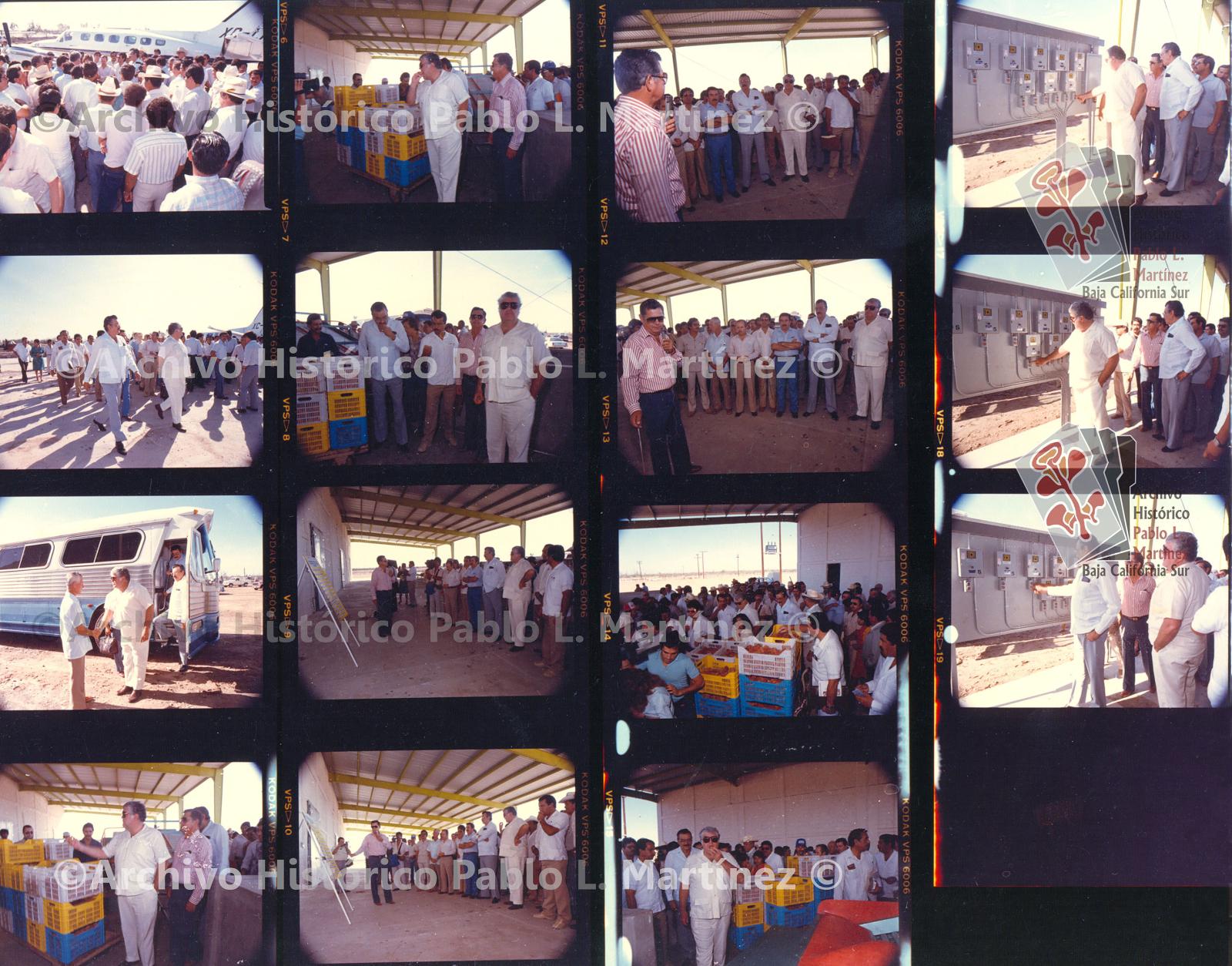 Hoja de contacto con 15 imágenes de Alberto Andrés Alvarado Arámburo, en su visita a una planta empacadora de tomate y de una reunión con productores del municipio de Comondú, Baja California Sur.