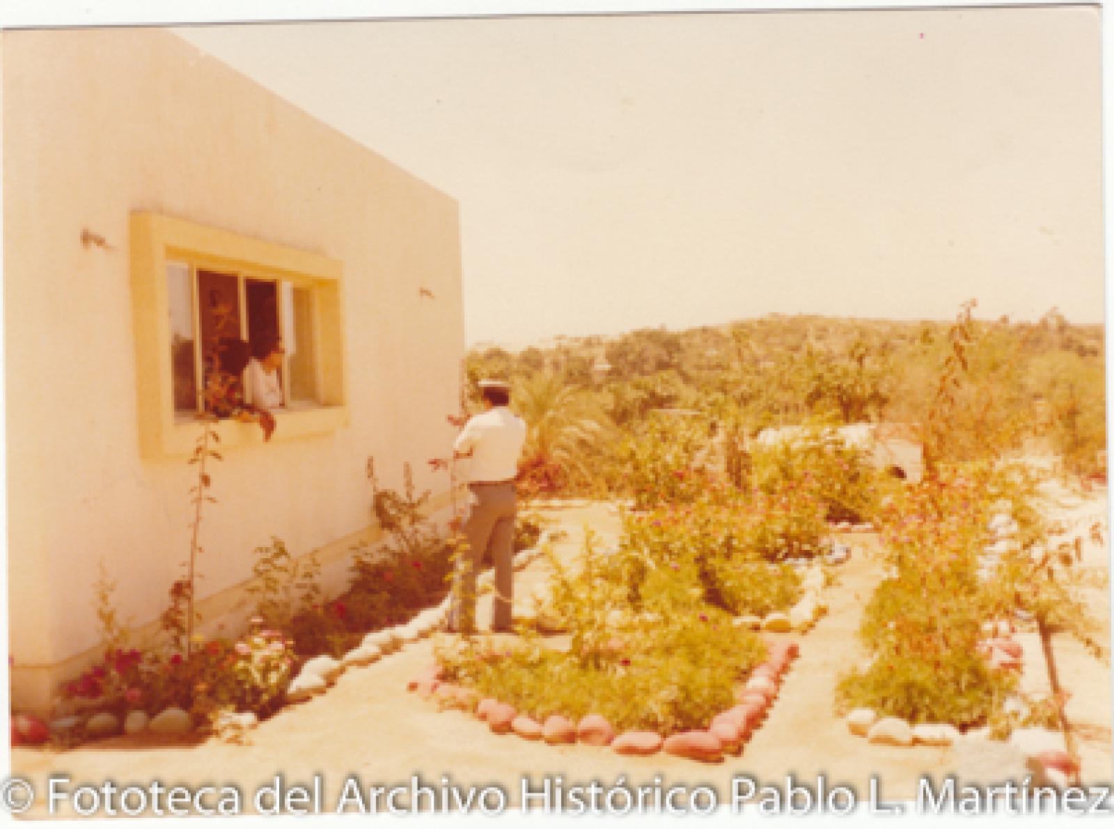 Hombres frente a jardín