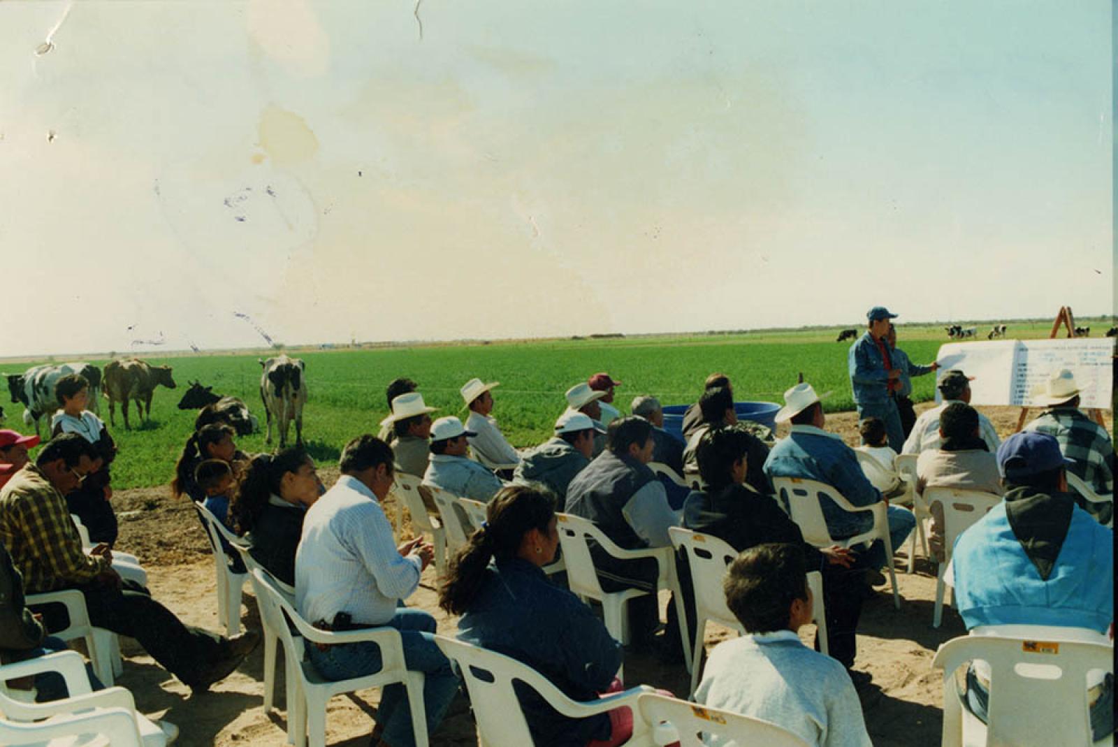 Hombres y mujeres en reunión, campo agrícola.