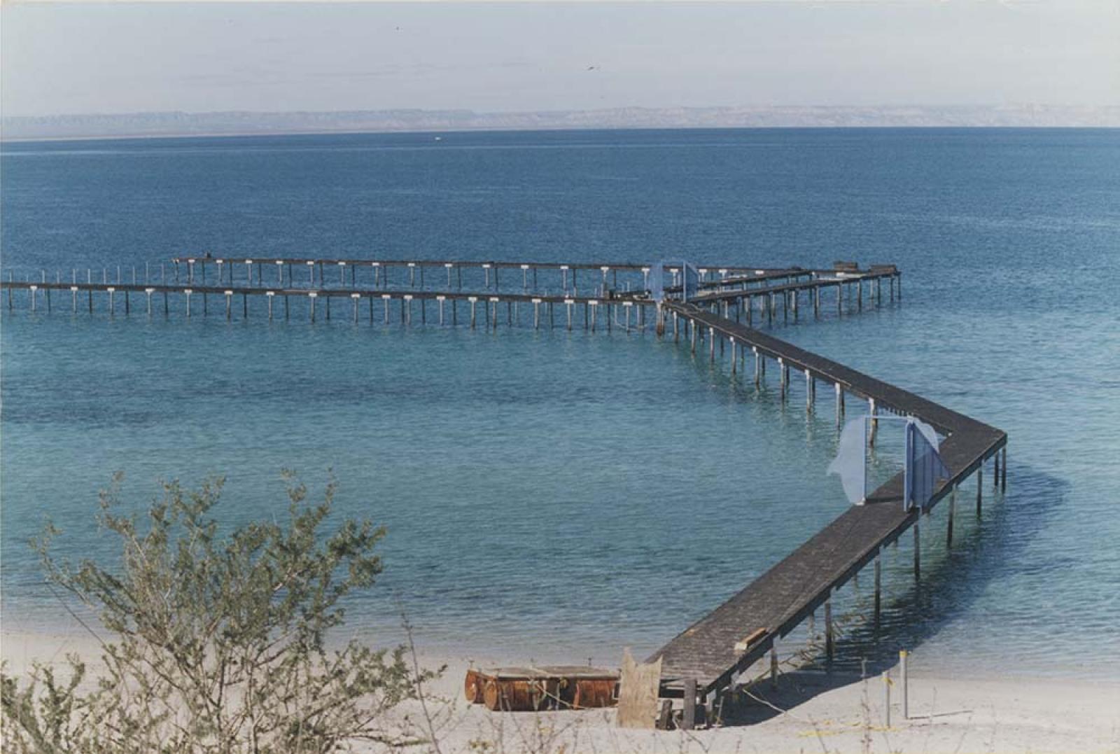 Instalaciones del delfinario Dolphin Learning Center. La Paz, Baja Califronia Sur.