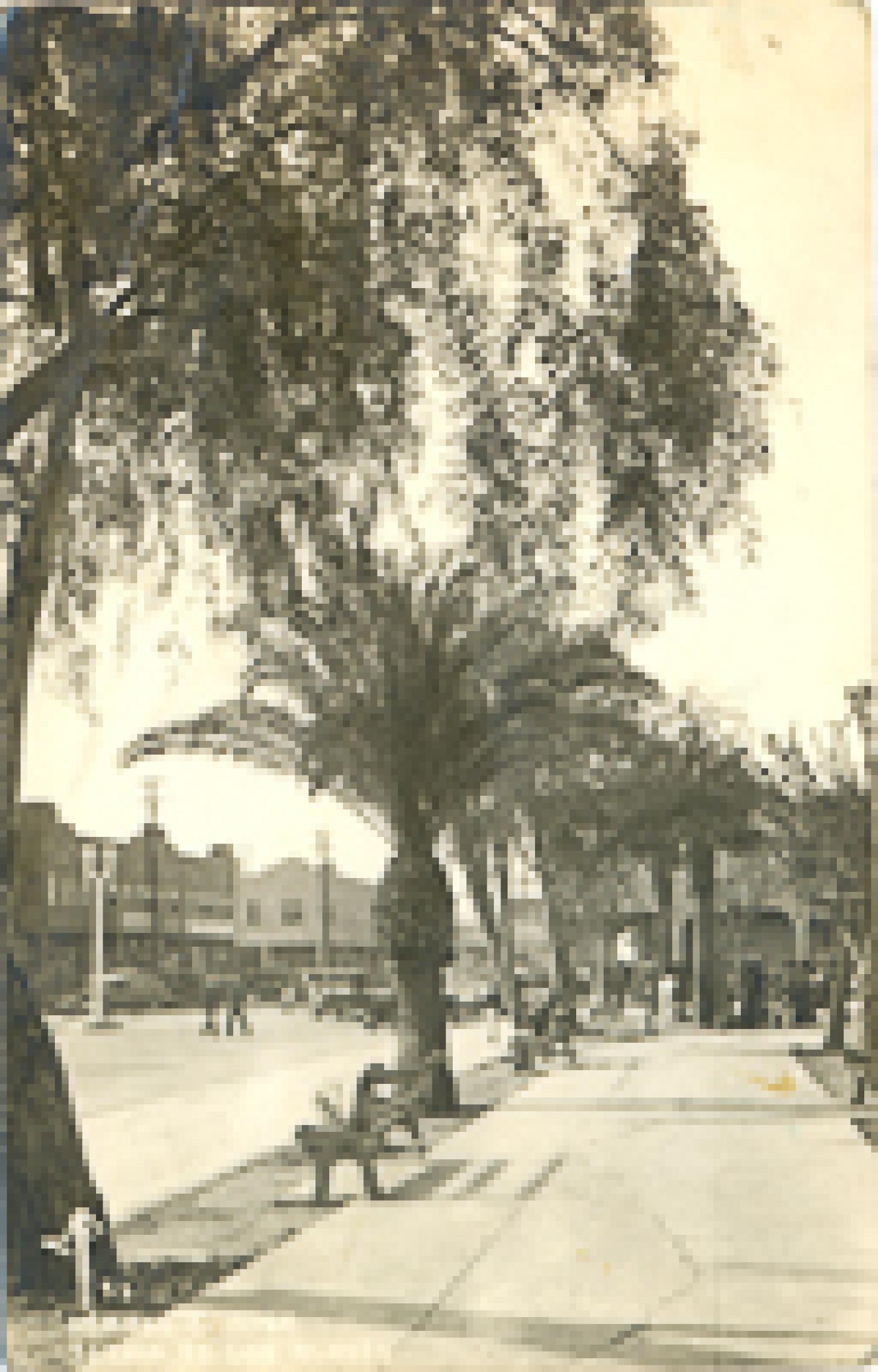 Jardín de los Héroes, en Mexicali, Baja California