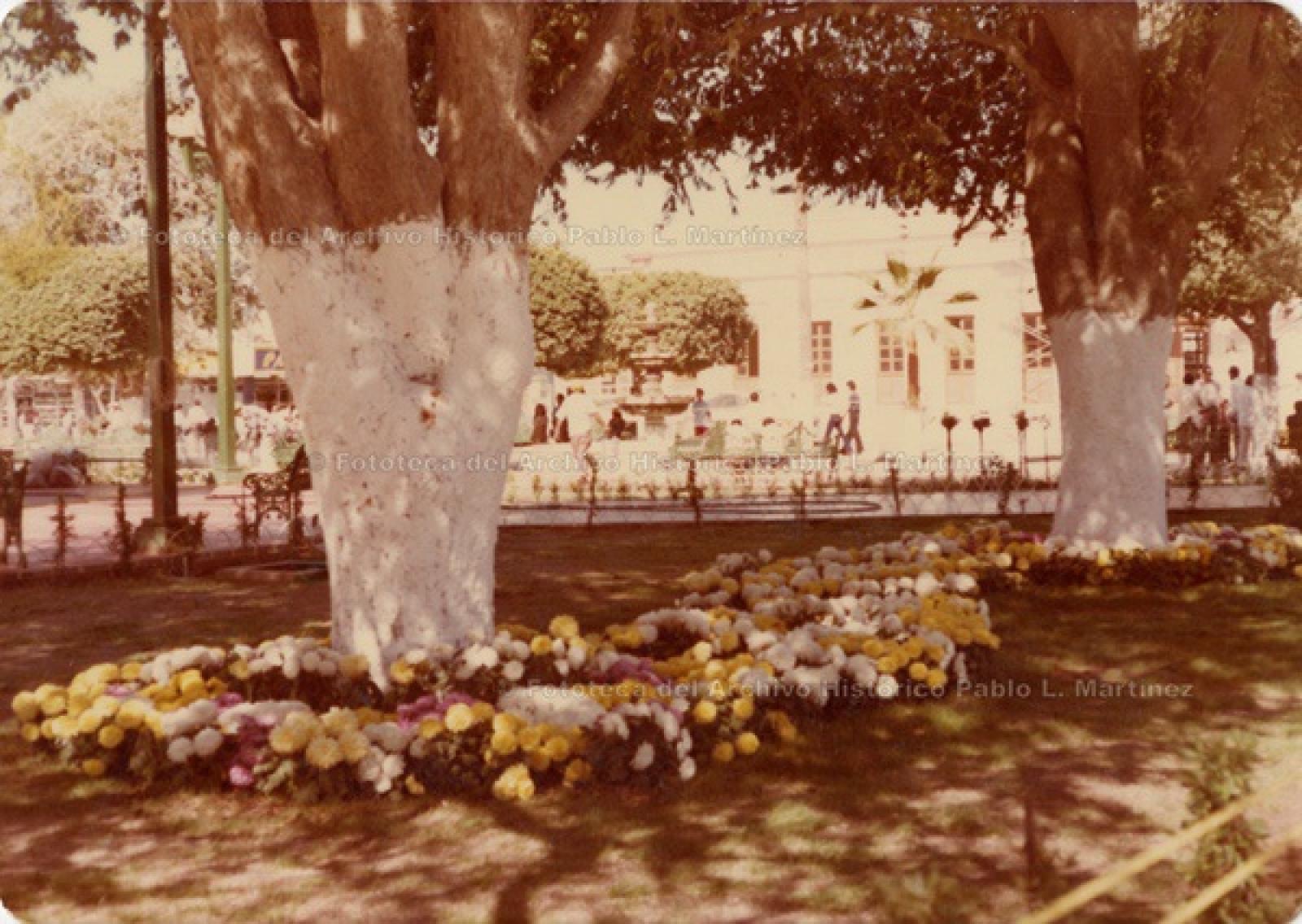 Jardín Velasco, hacia la antigua Casa de Gobierno, La Paz.