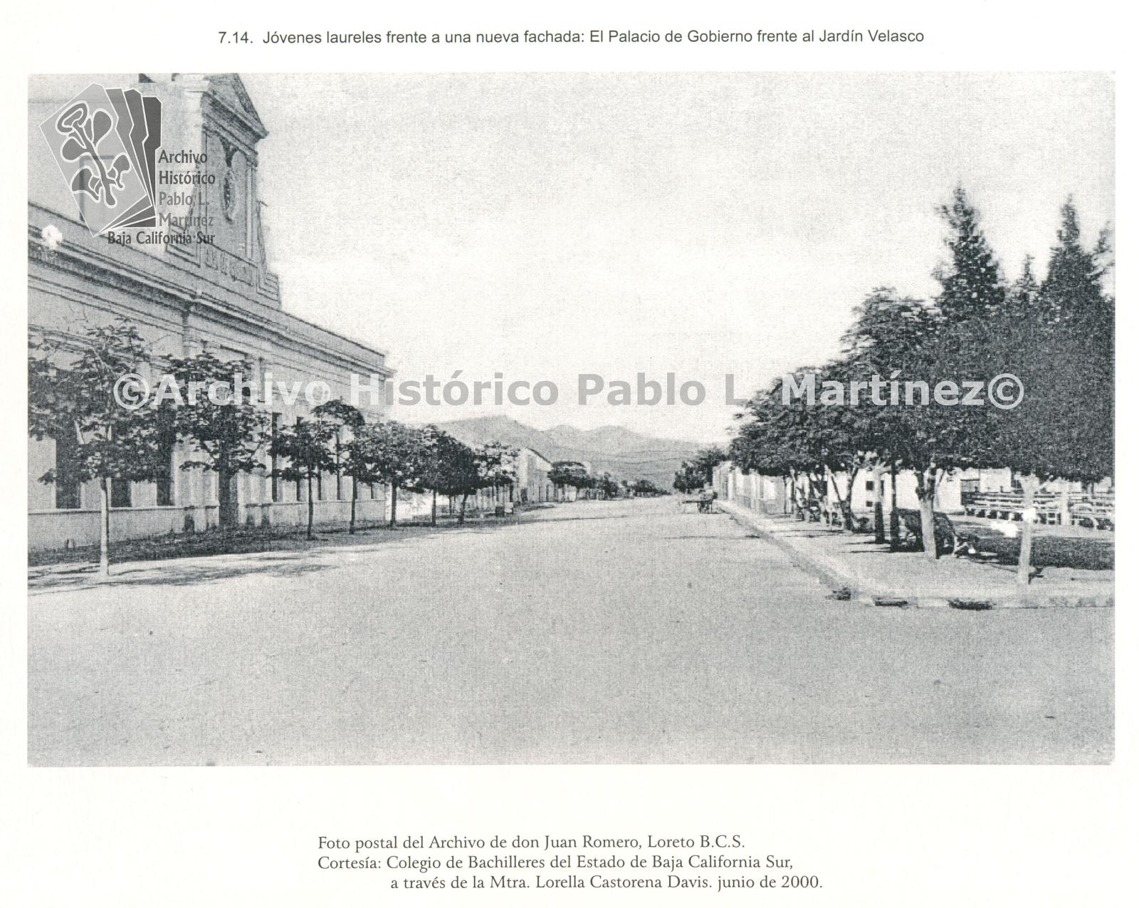 Jóvenes laureles frente a una nueva fachada: El Palacio de Gobierno frente al Jardín Velasco, en La Paz, Baja California.