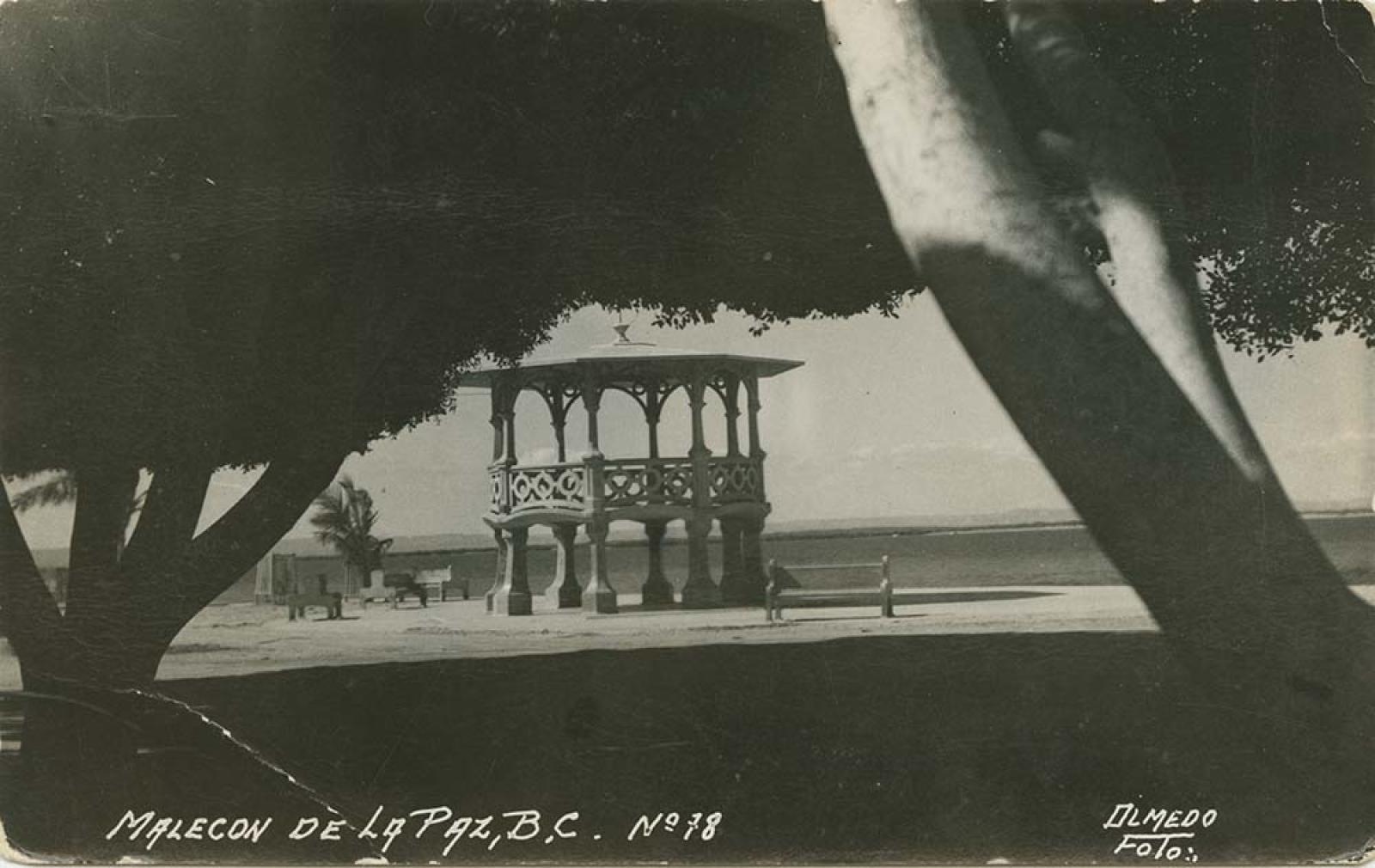 Kiosco y arboleda del malecón de La Paz, Baja California.