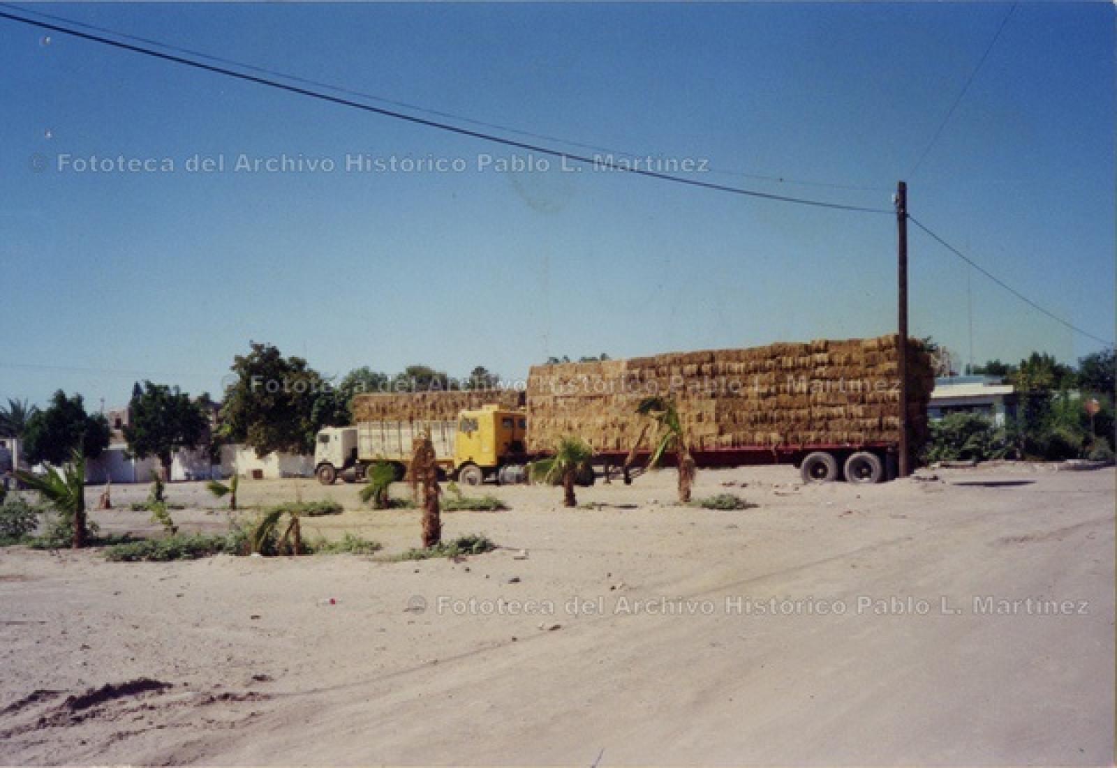 “La alfalfa del Valle”, transportada en camiones.