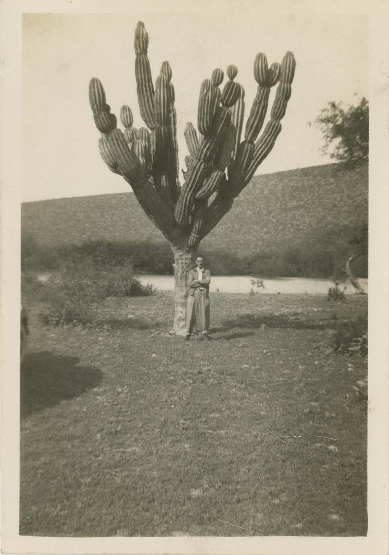 “La Laguna”