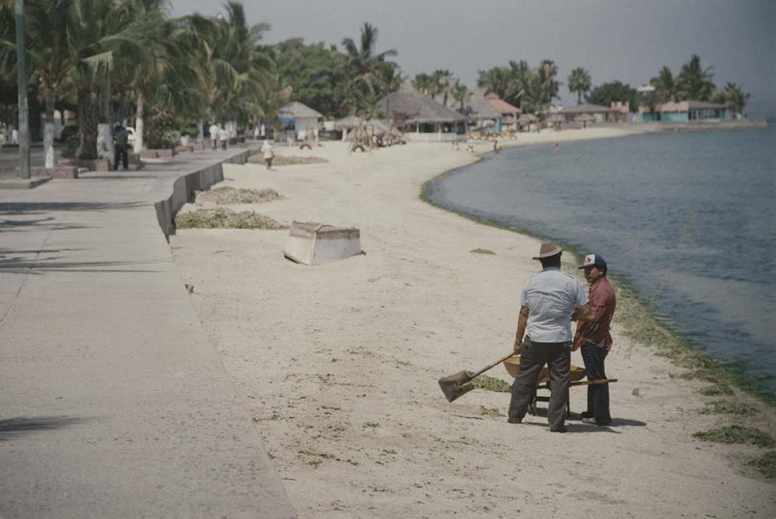 “La limpieza” de playa del malecón, La Paz.