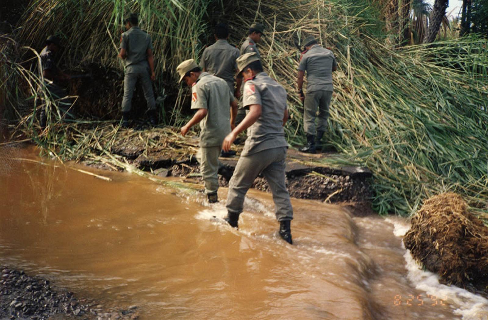 Levantamiento de escombros en el área de San Ignacio, B.C.S., tras el paso del huracán “Lester”.